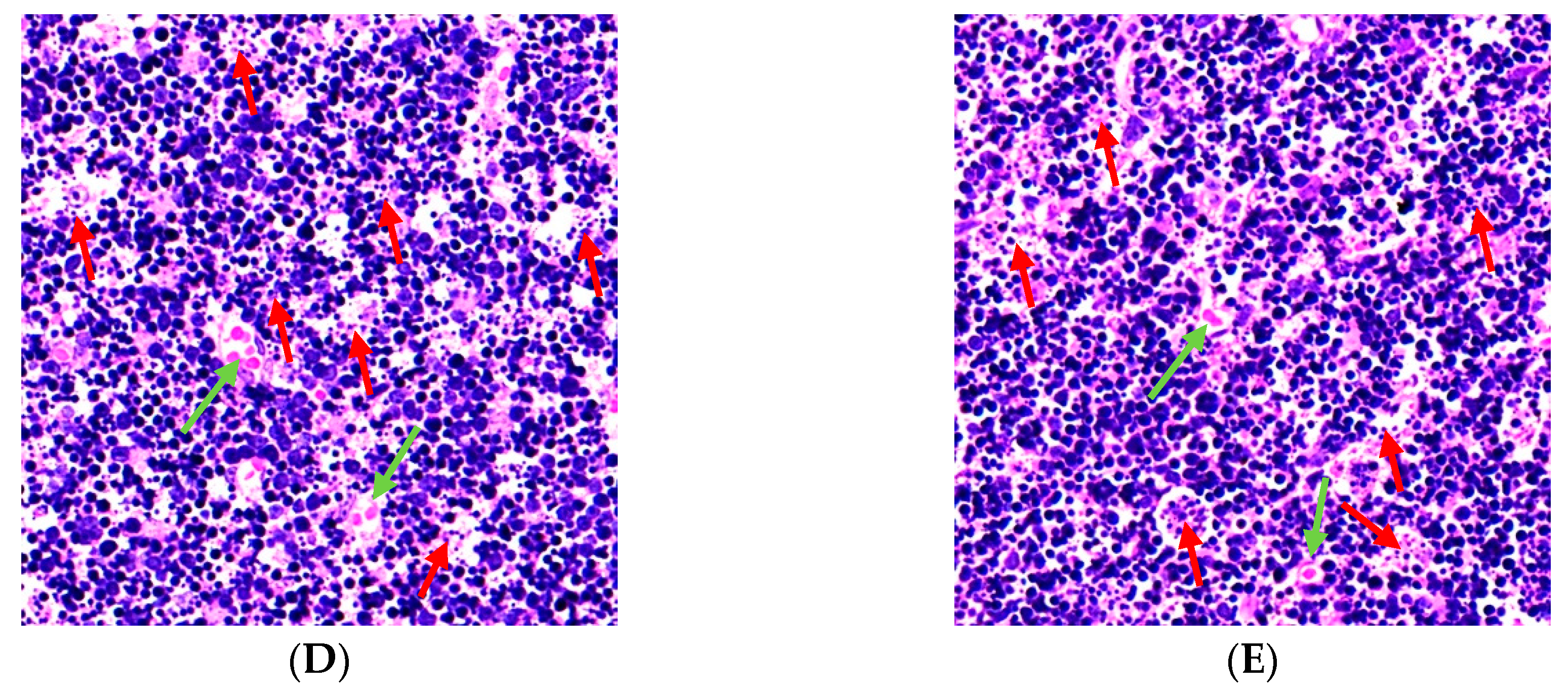 Toxins 12 00540 g004b