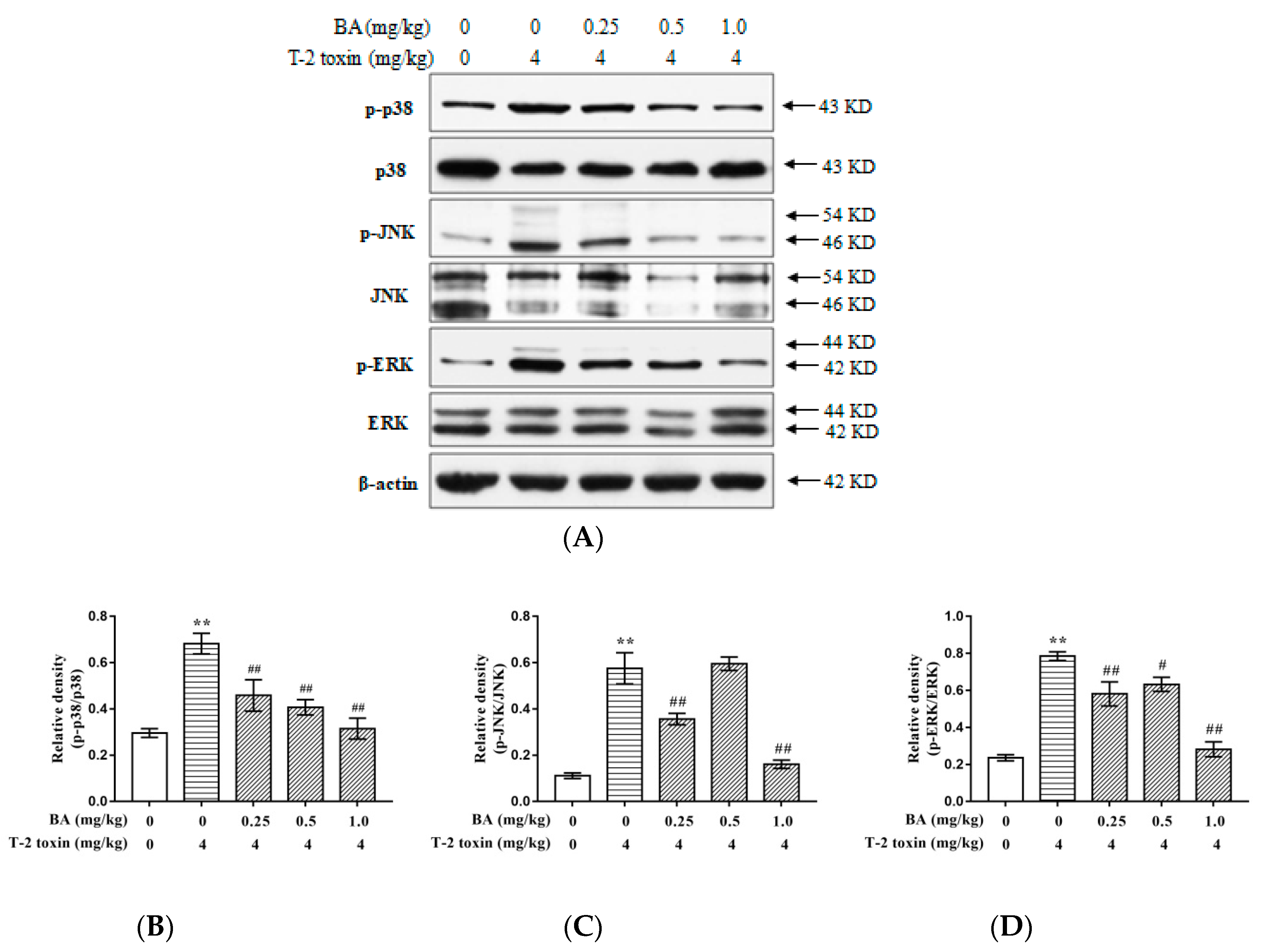 Toxins 12 00540 g005