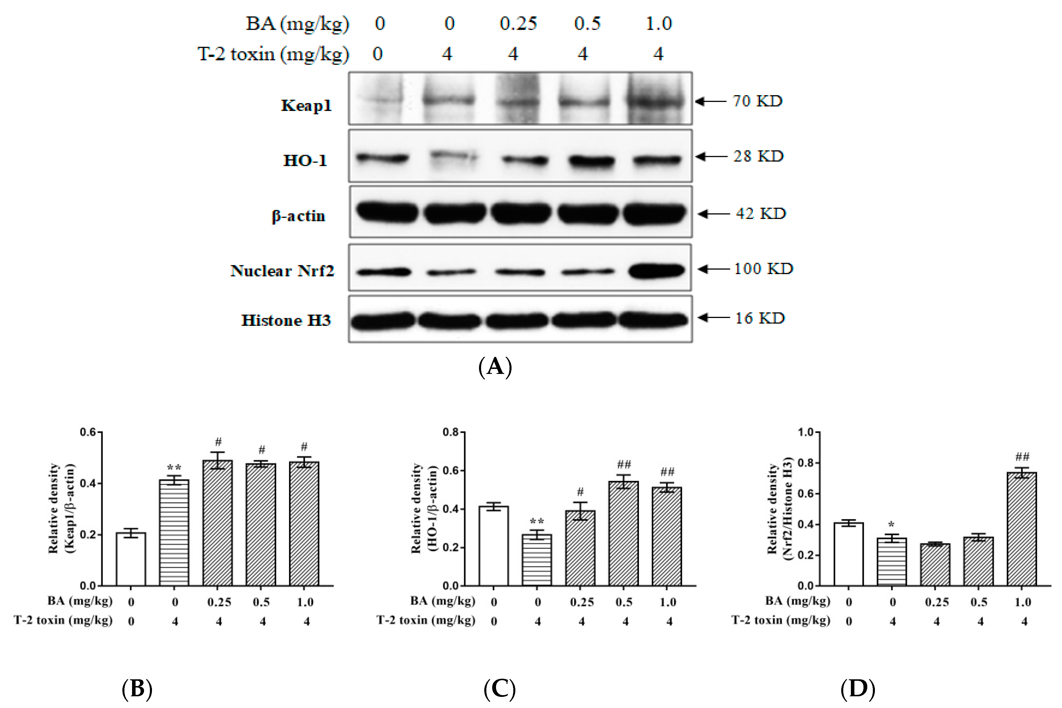 Toxins 12 00540 g006