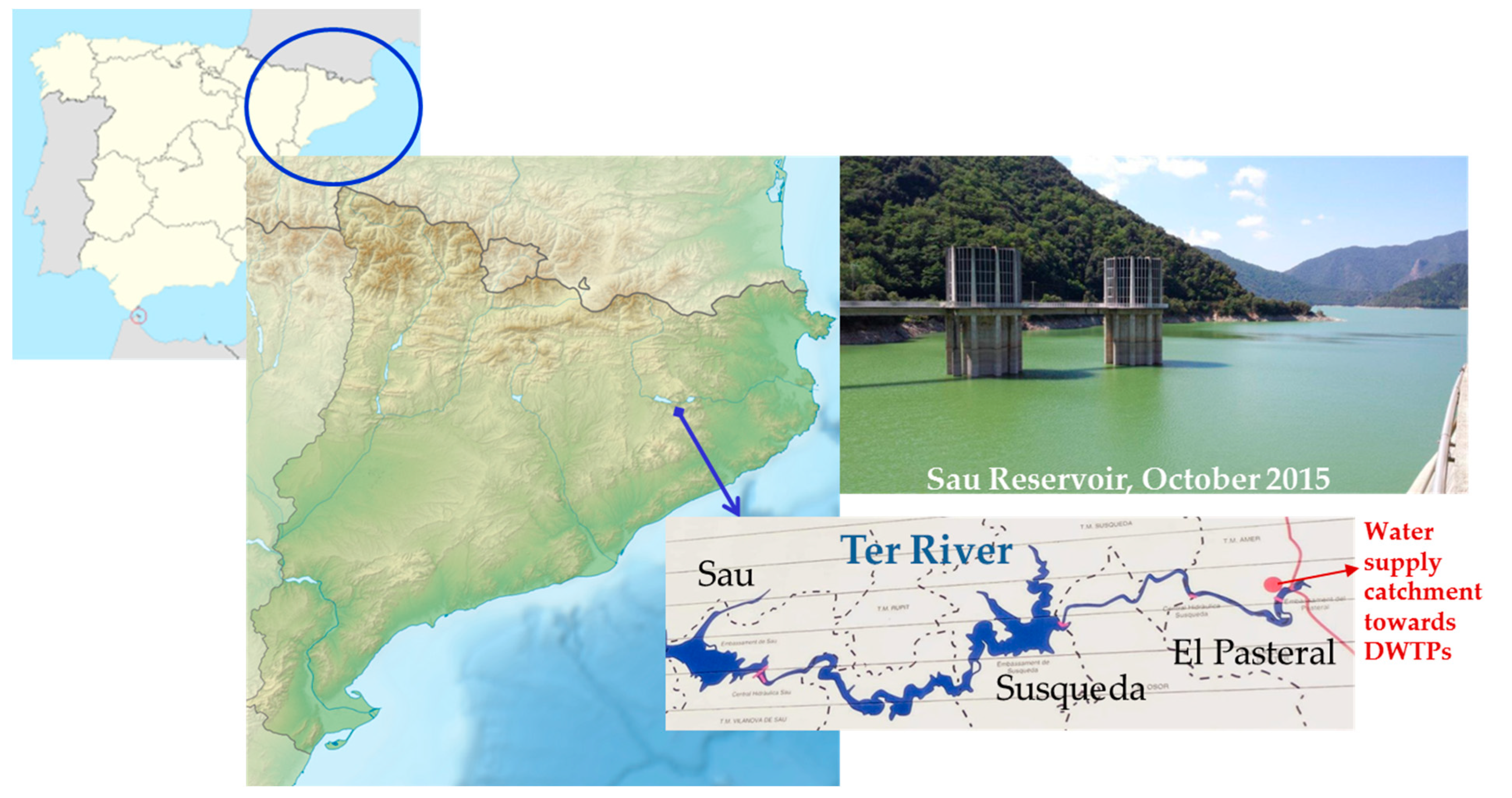 Toxins 12 00541 g004