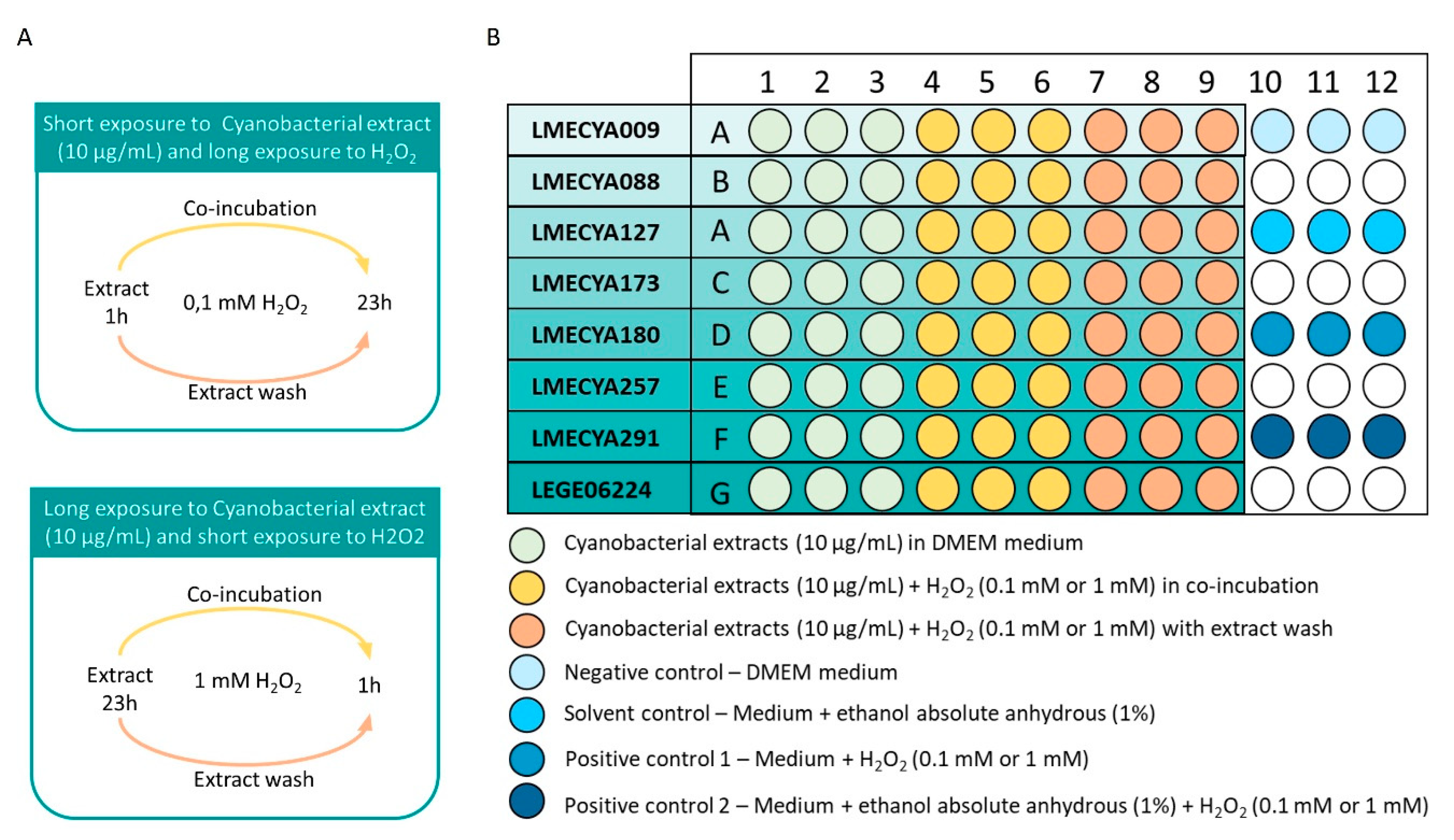 Toxins 12 00548 g008