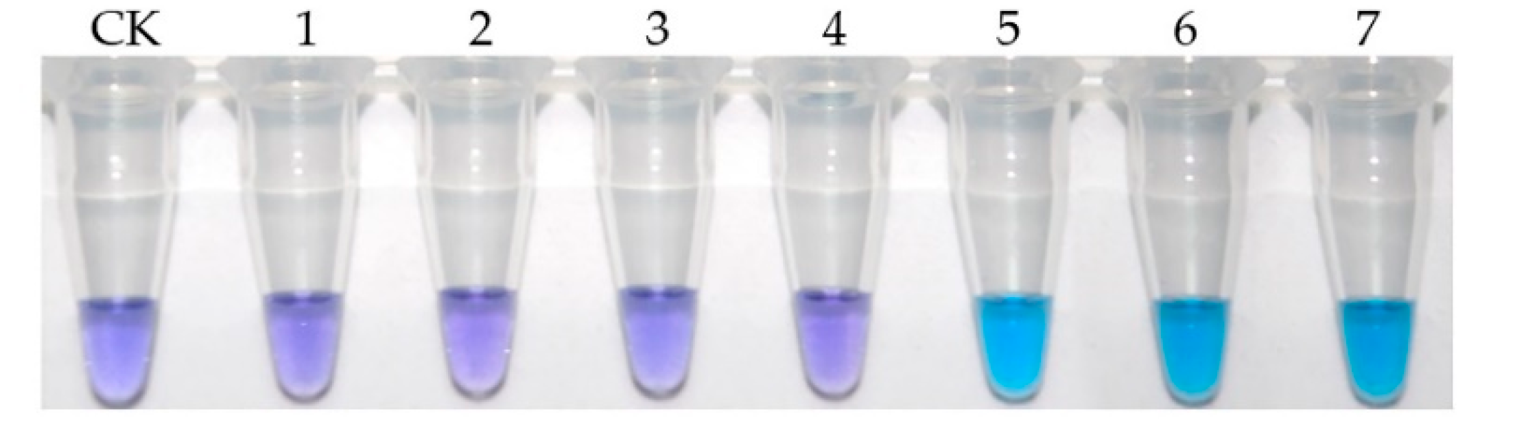 Toxins 12 00565 g007 Toxins 12 00565 g007