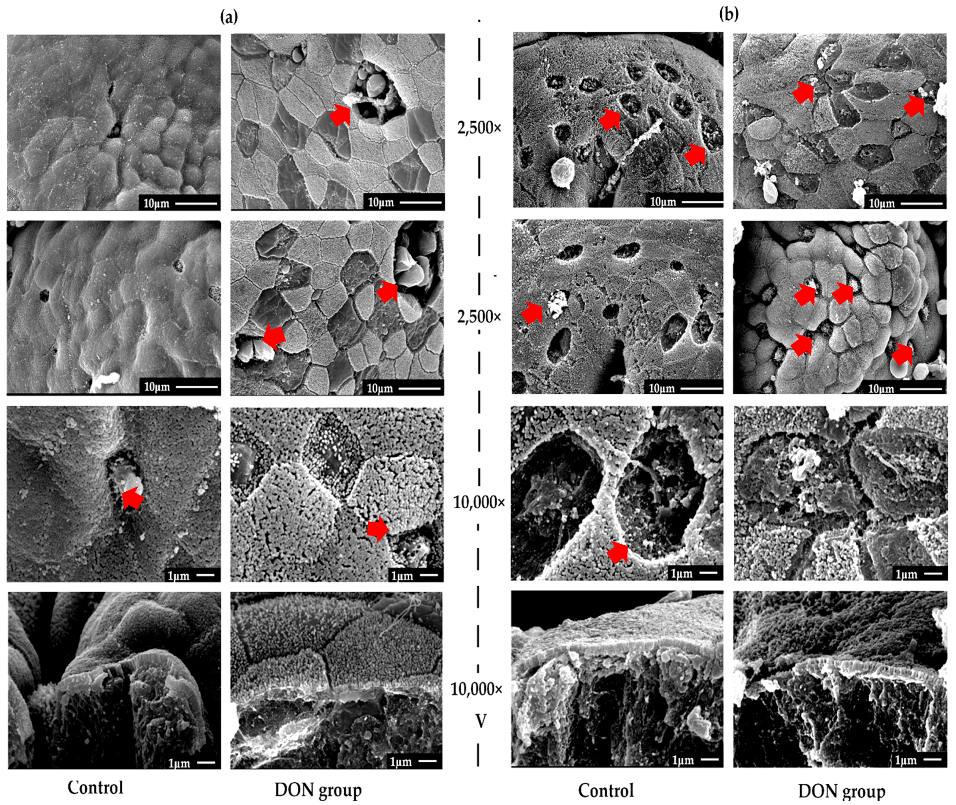 Toxins 12 00569 g001 Toxins 12 00569 g001