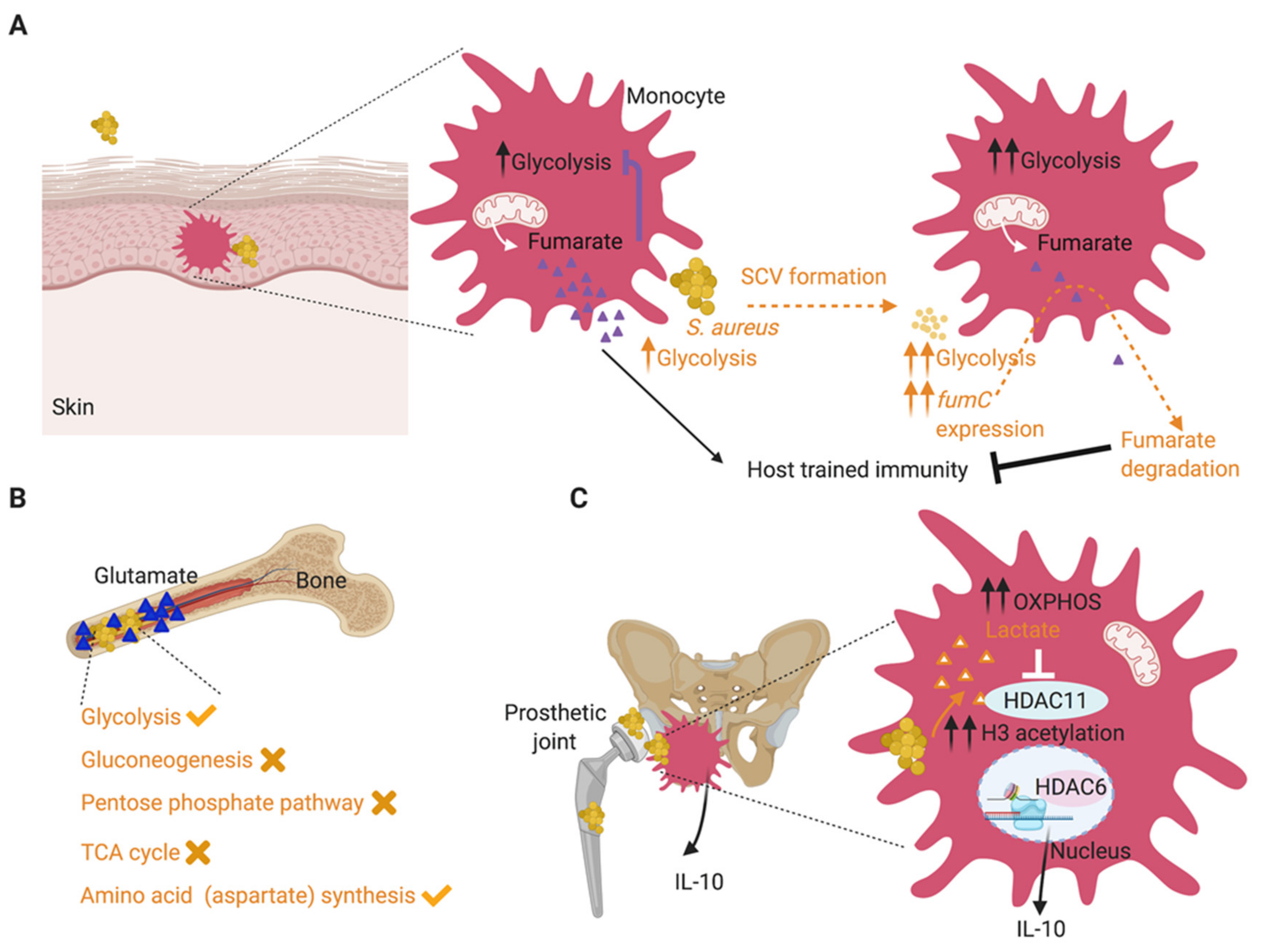 Toxins 12 00581 g002