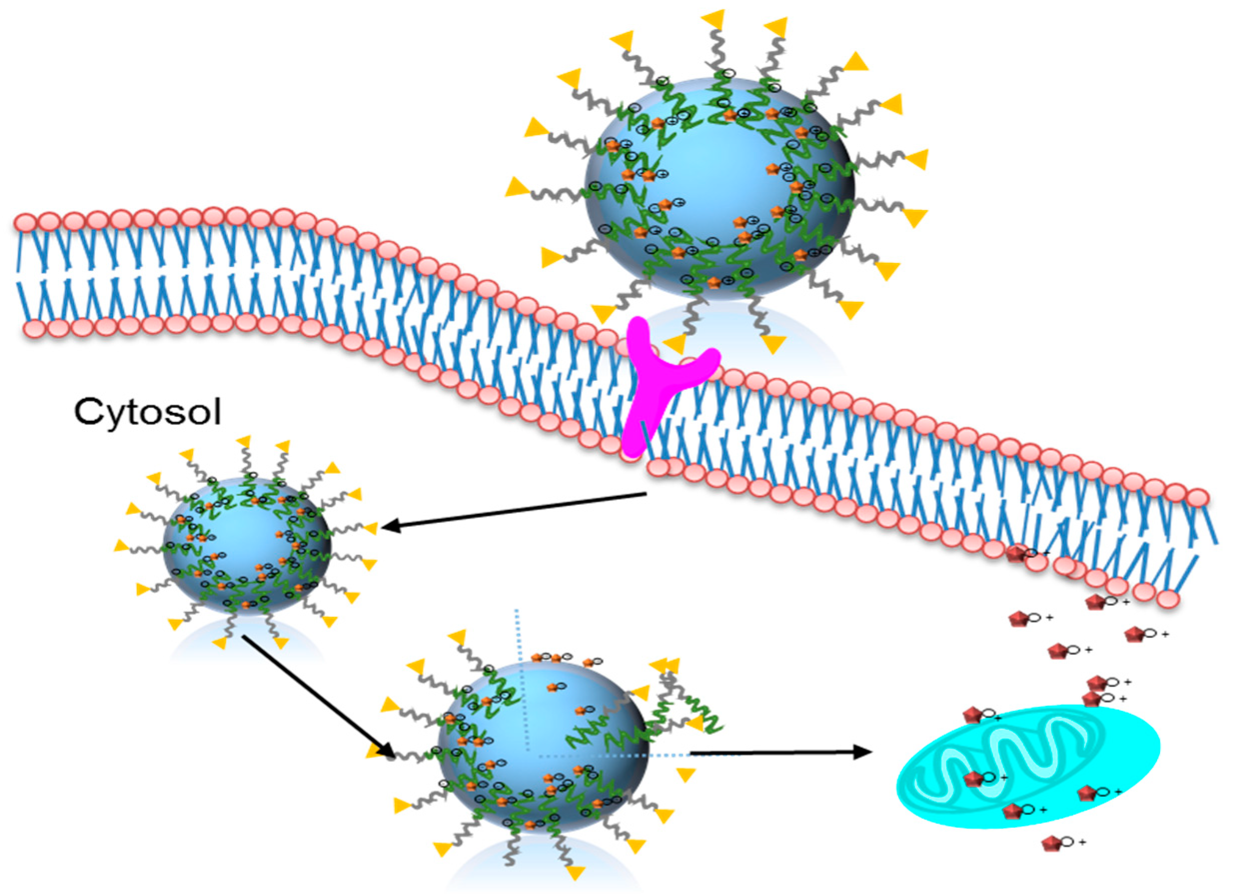 Toxins 12 00582 g001