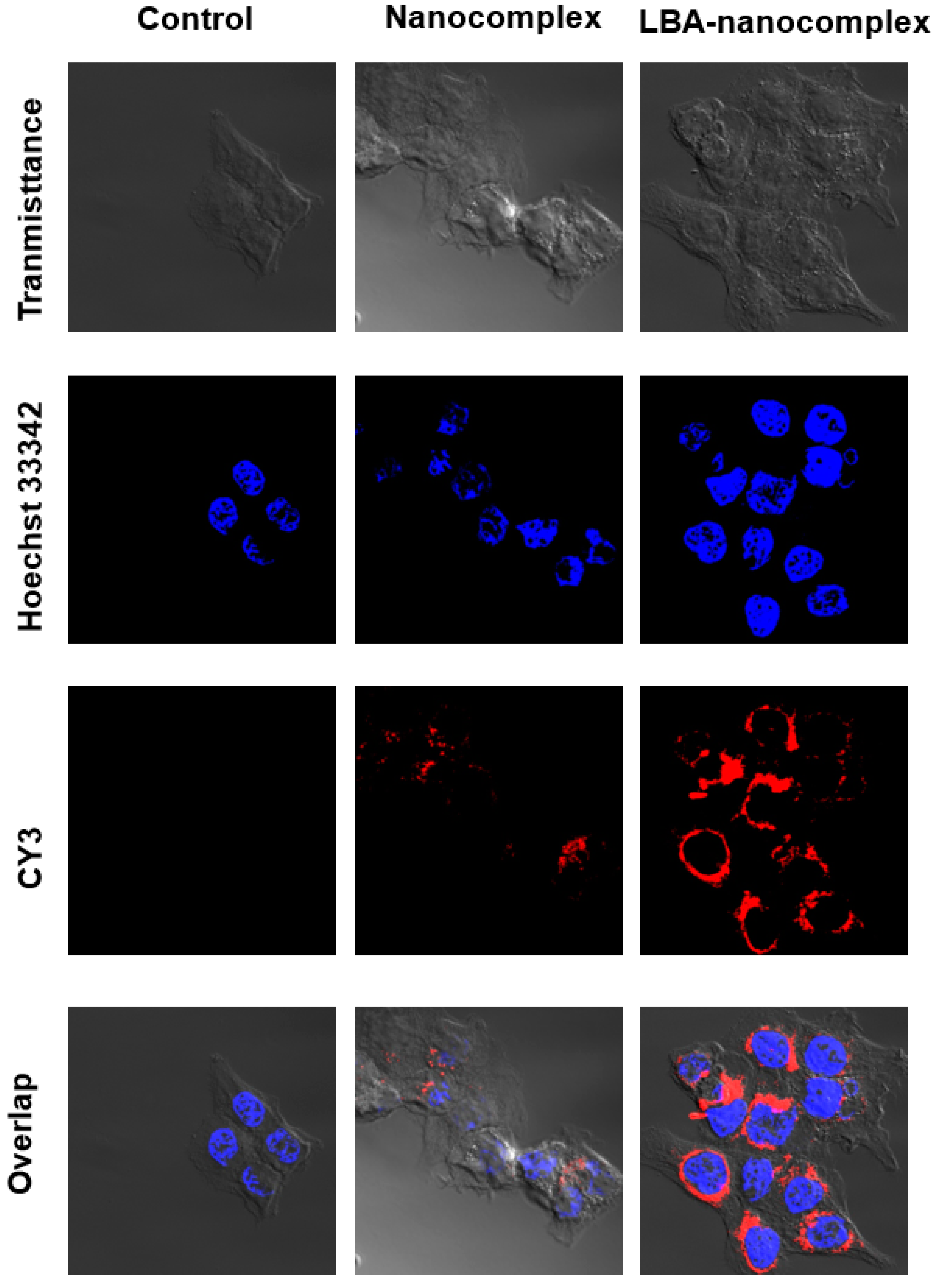 Toxins 12 00582 g008