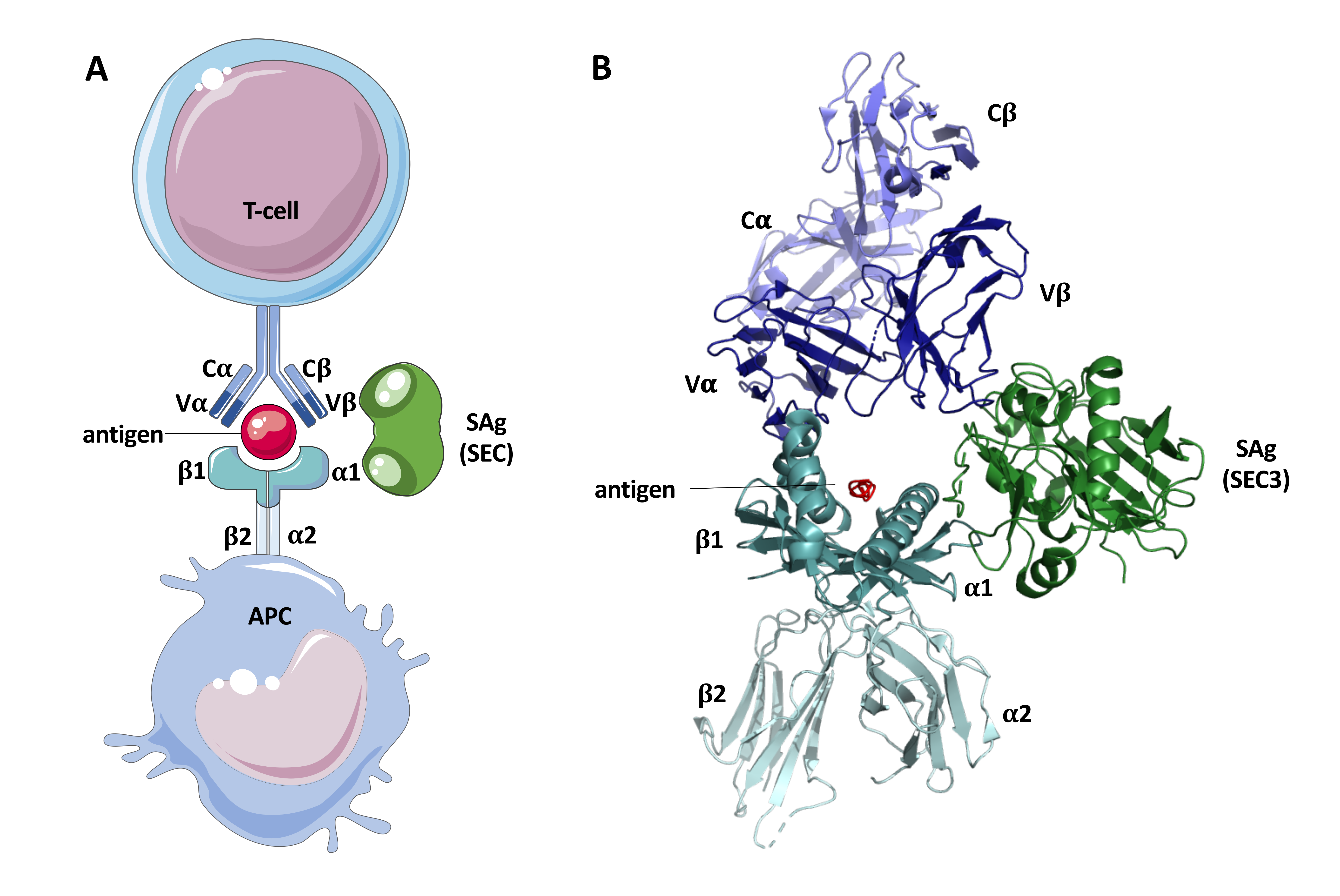 Toxins 12 00584 g003