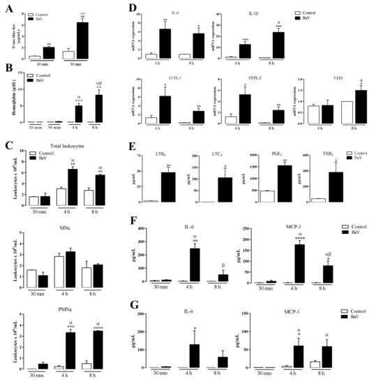 Toxins Free Full Text Bitis Arietans Snake Venom Induces An Inflammatory Response Which Is Partially Dependent On Lipid Mediators Html Toxins Free Full Text Bitis Arietans Snake Venom Induces An Inflammatory Response Which Is Partially Dependent On Lipid Mediators Html