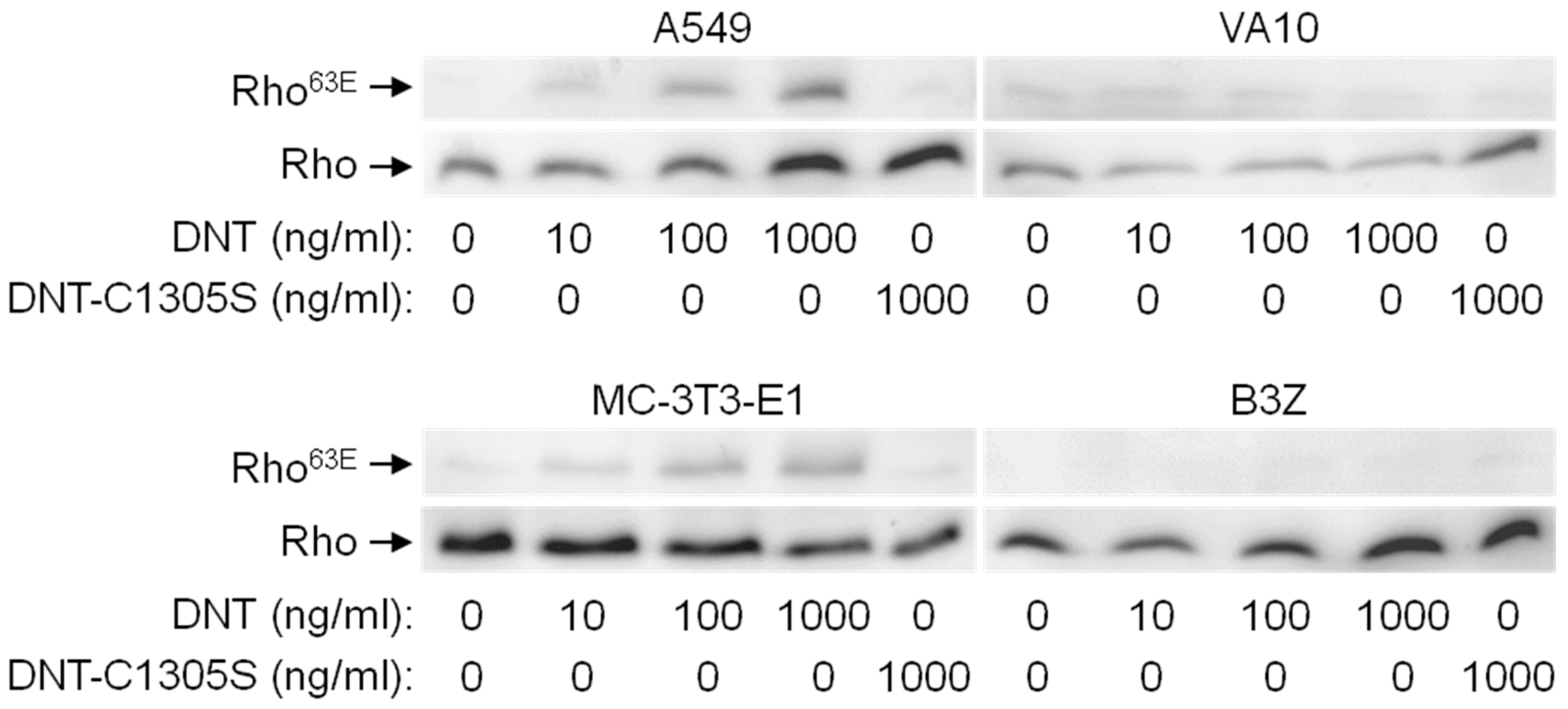 Toxins 12 00596 g004 Toxins 12 00596 g004