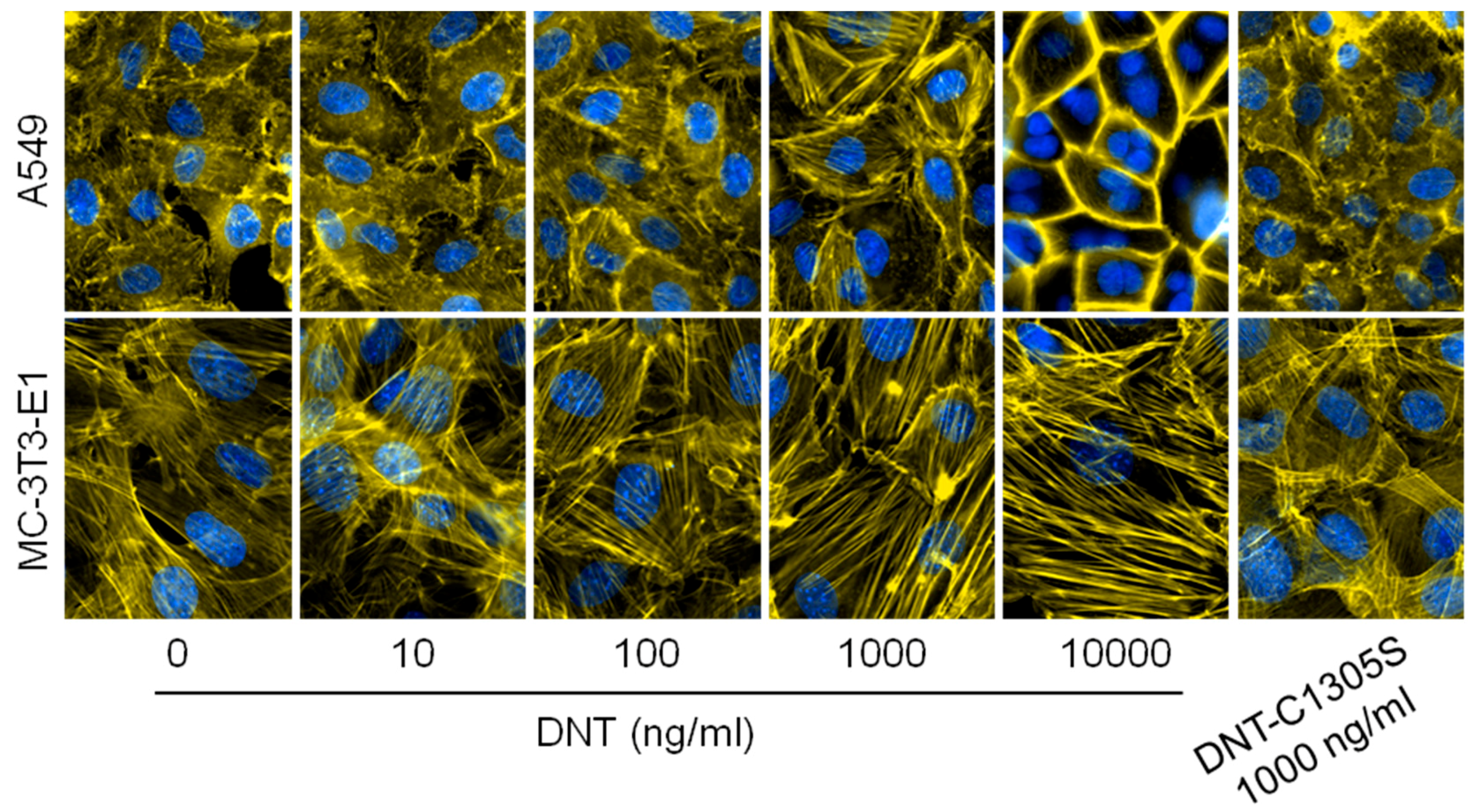 Toxins 12 00596 g006 Toxins 12 00596 g006