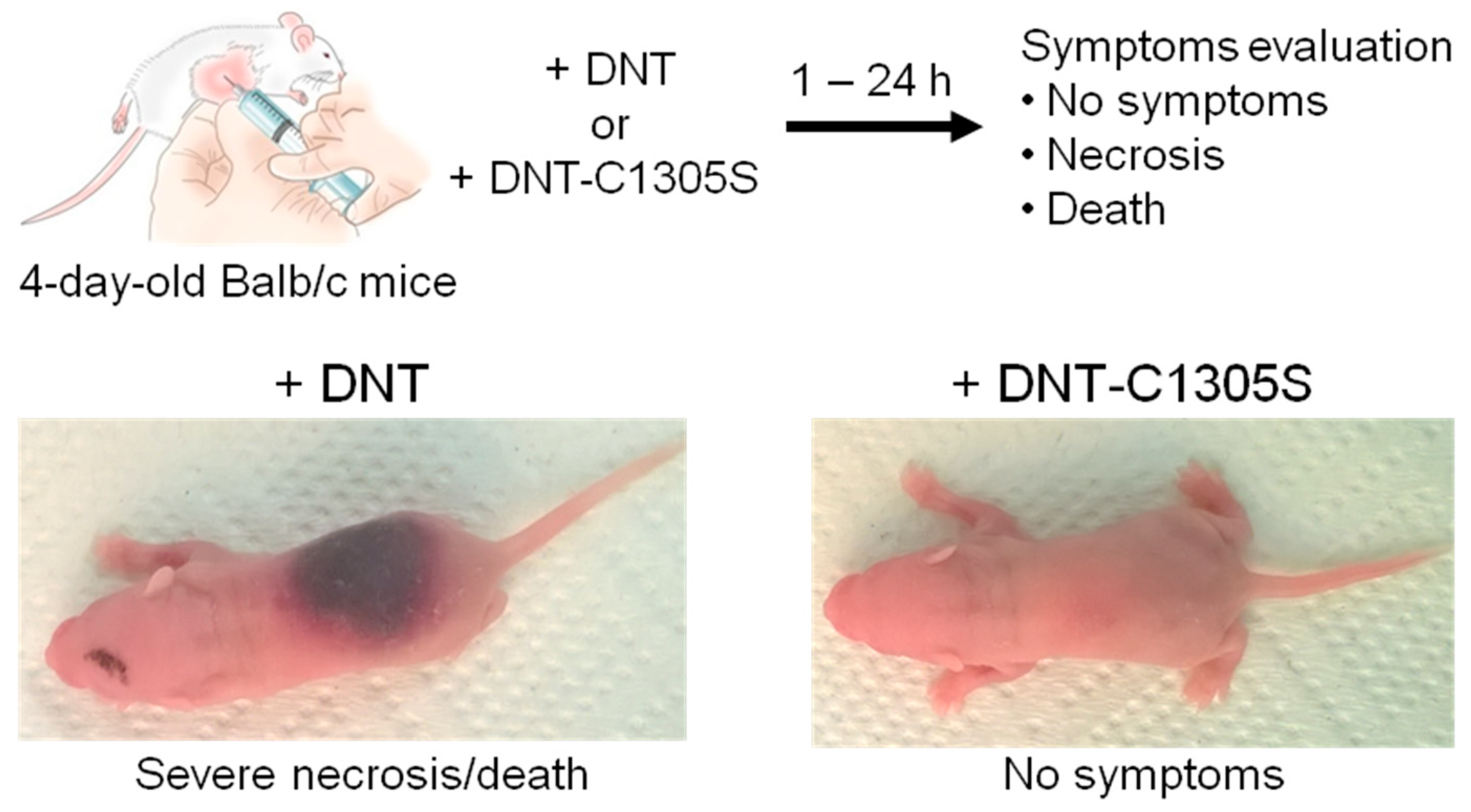 Toxins 12 00596 g007 Toxins 12 00596 g007