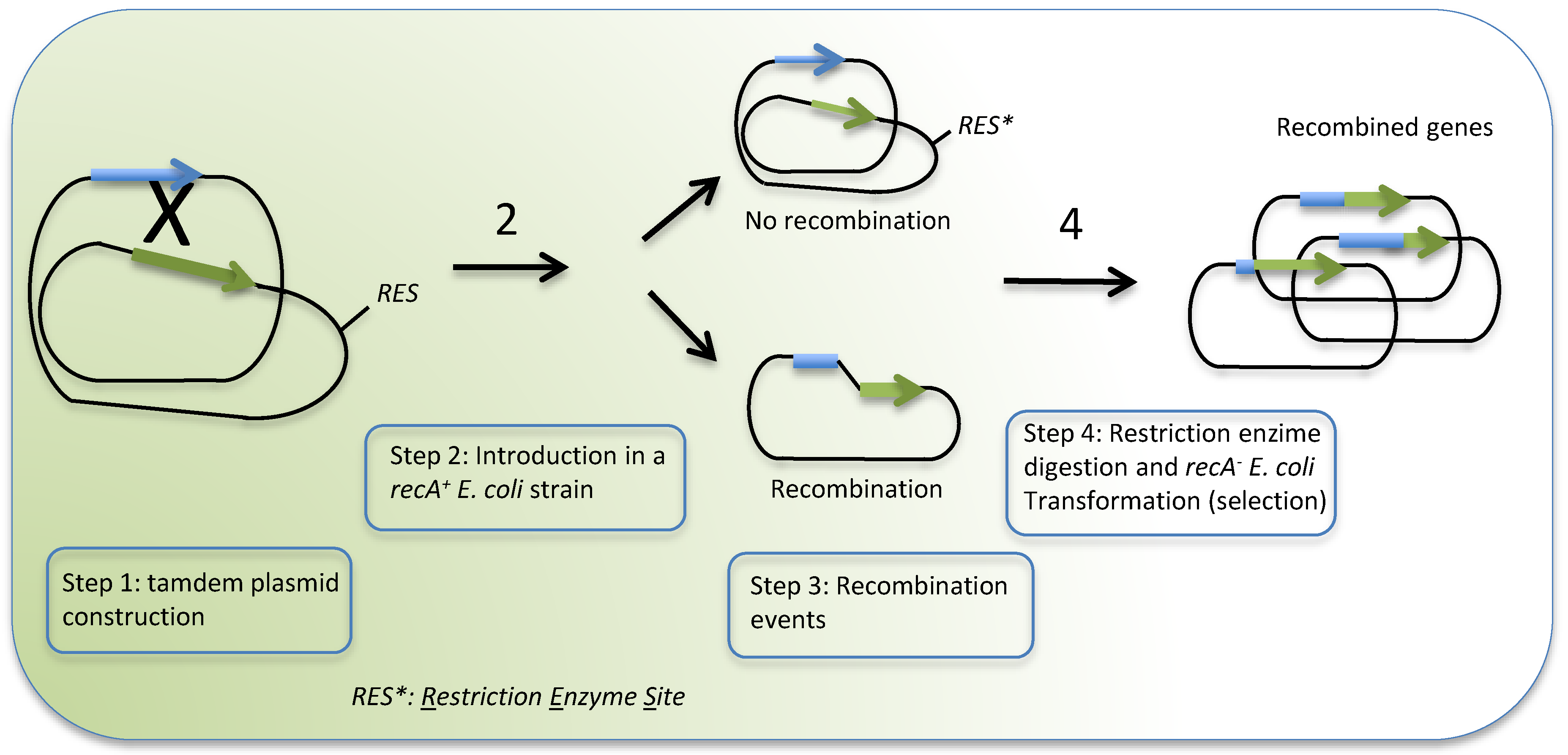 Toxins 12 00600 g001