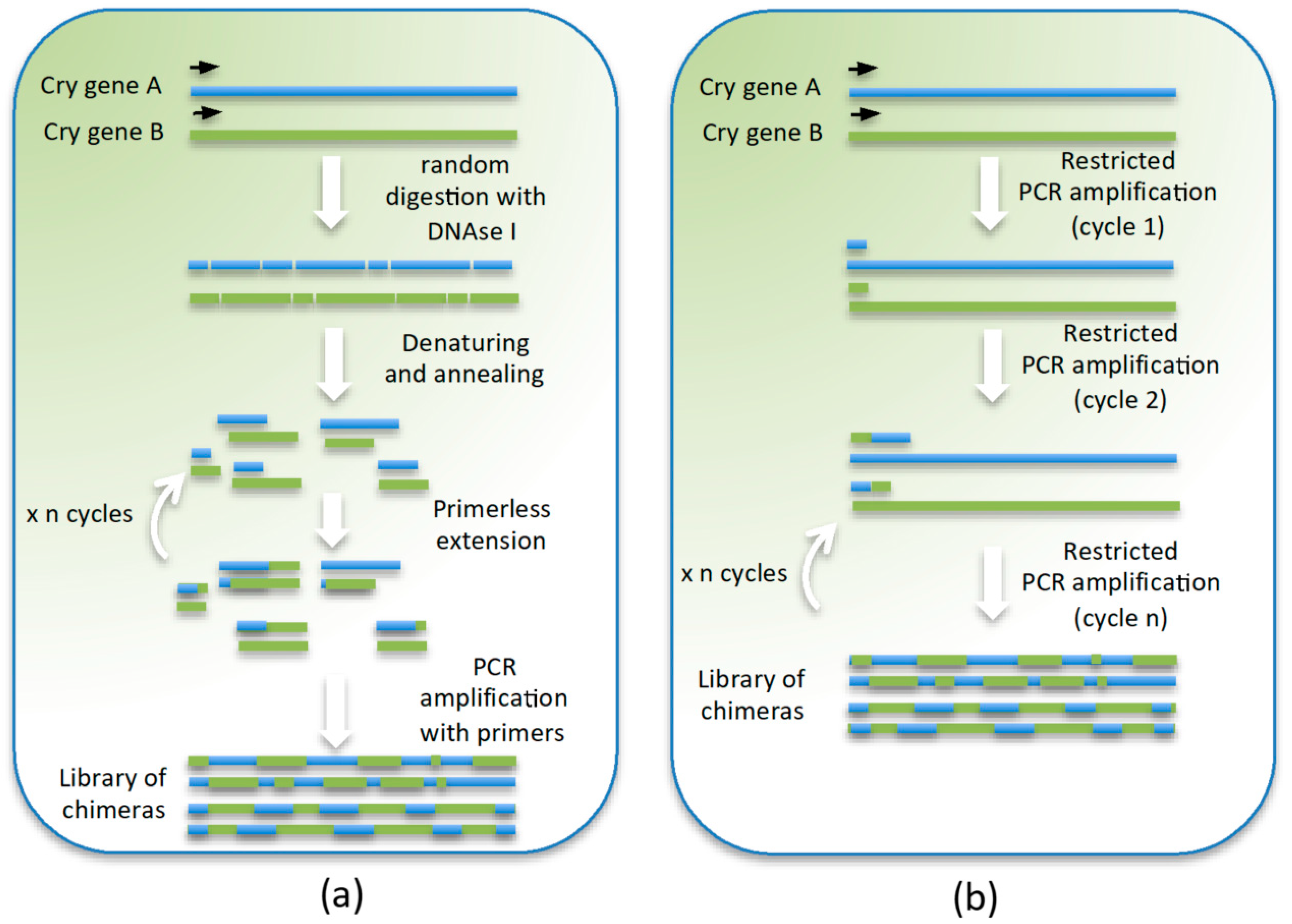 Toxins 12 00600 g002