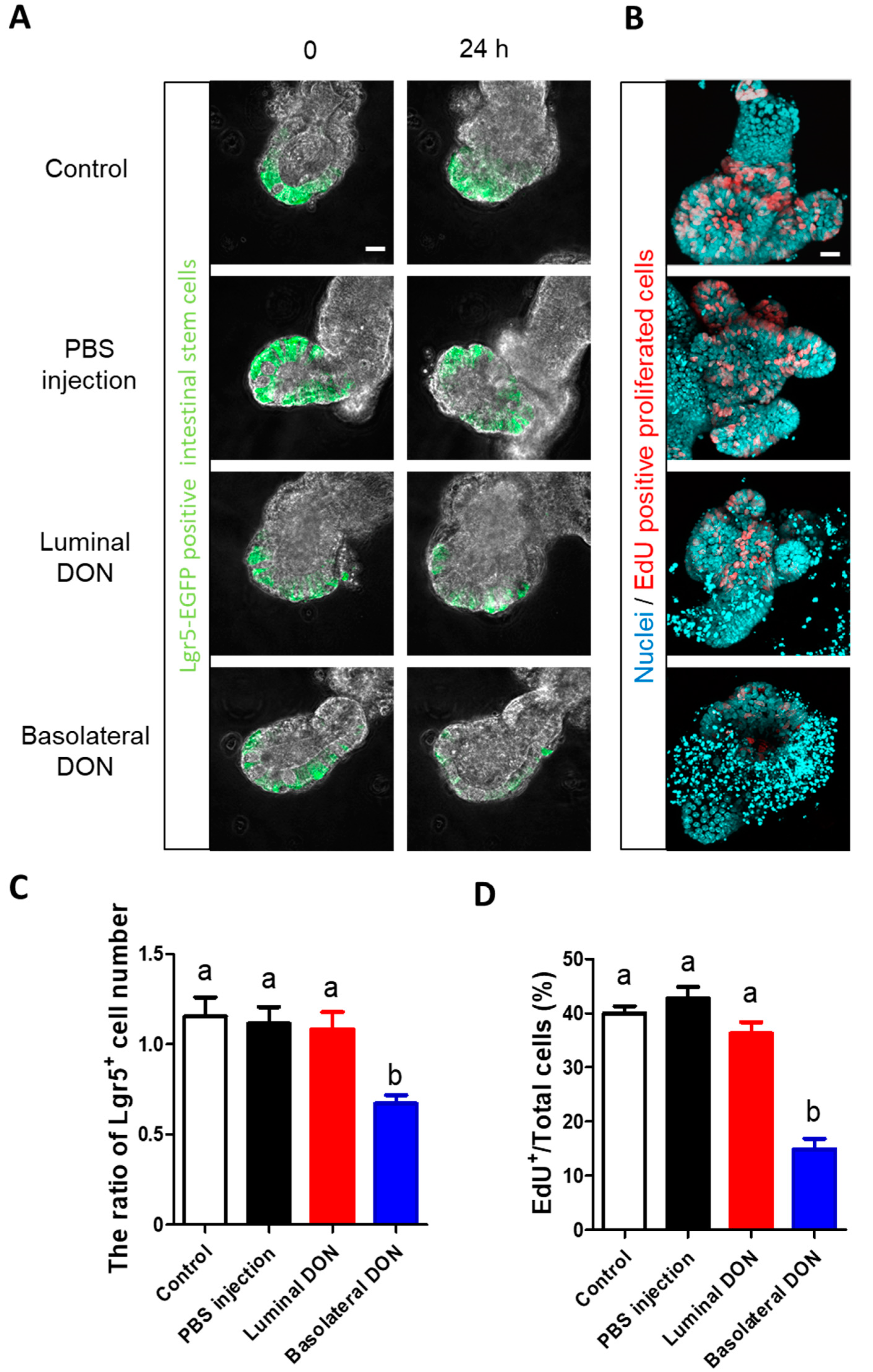 Toxins 12 00610 g004