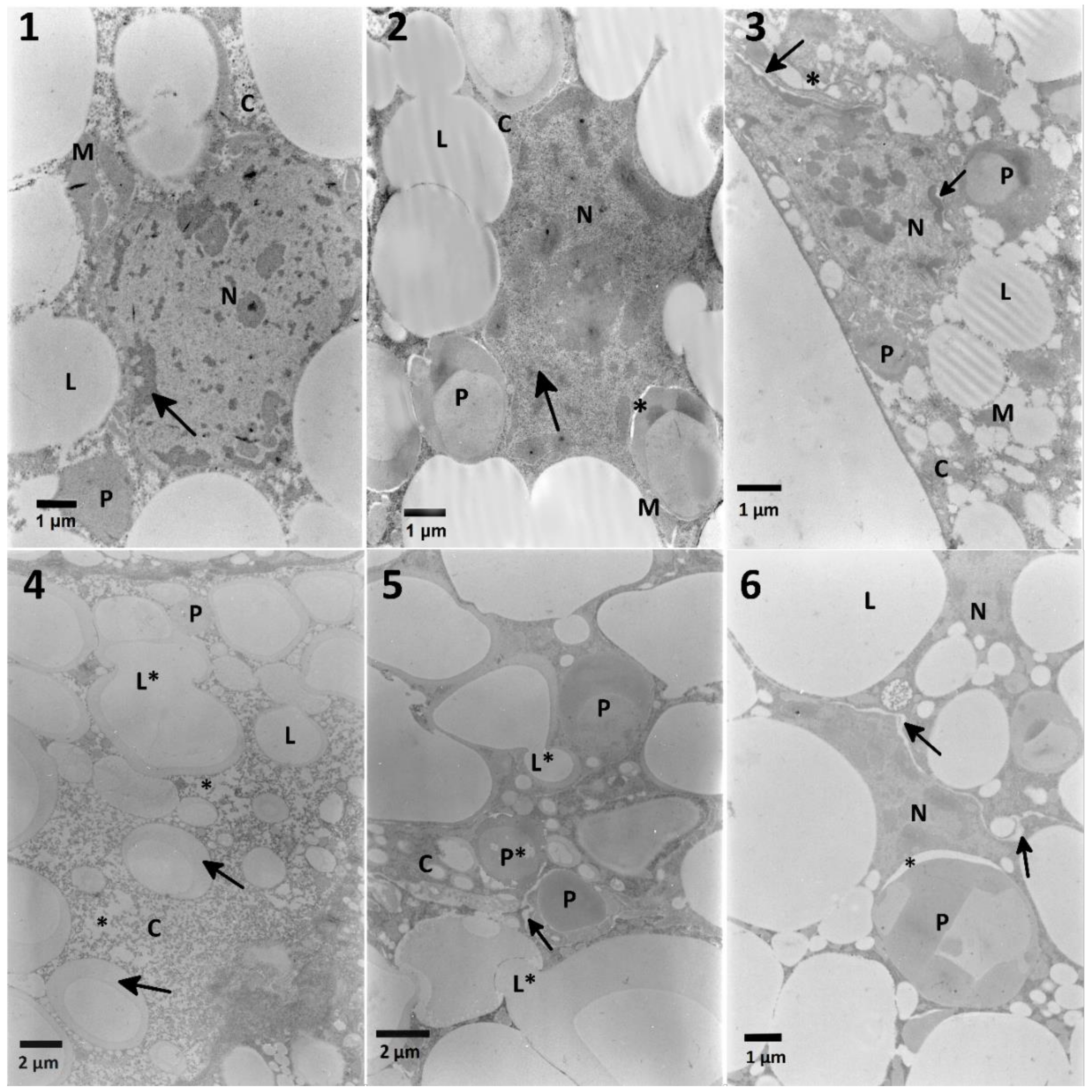 Toxins 12 00612 g005