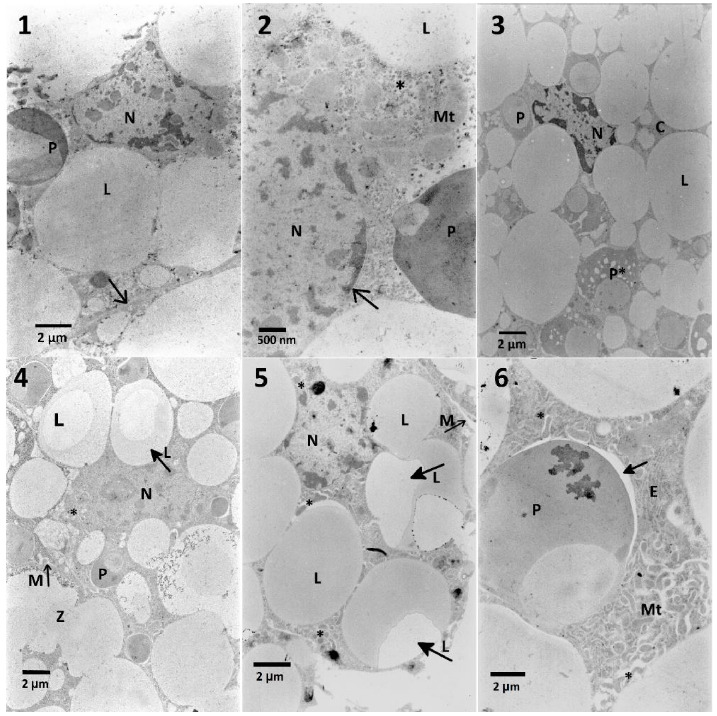 Toxins 12 00612 g009