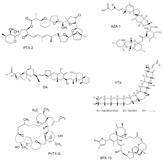 Toxins Free Full Text Detection Of Cyclic Imine Toxins In Dietary Supplements Of Green Lipped Mussels Perna Canaliculus And In Shellfish Mytilus Chilensis Html Toxins Free Full Text Detection Of Cyclic Imine Toxins In Dietary Supplements Of Green Lipped Mussels Perna Canaliculus And In Shellfish Mytilus Chilensis Html