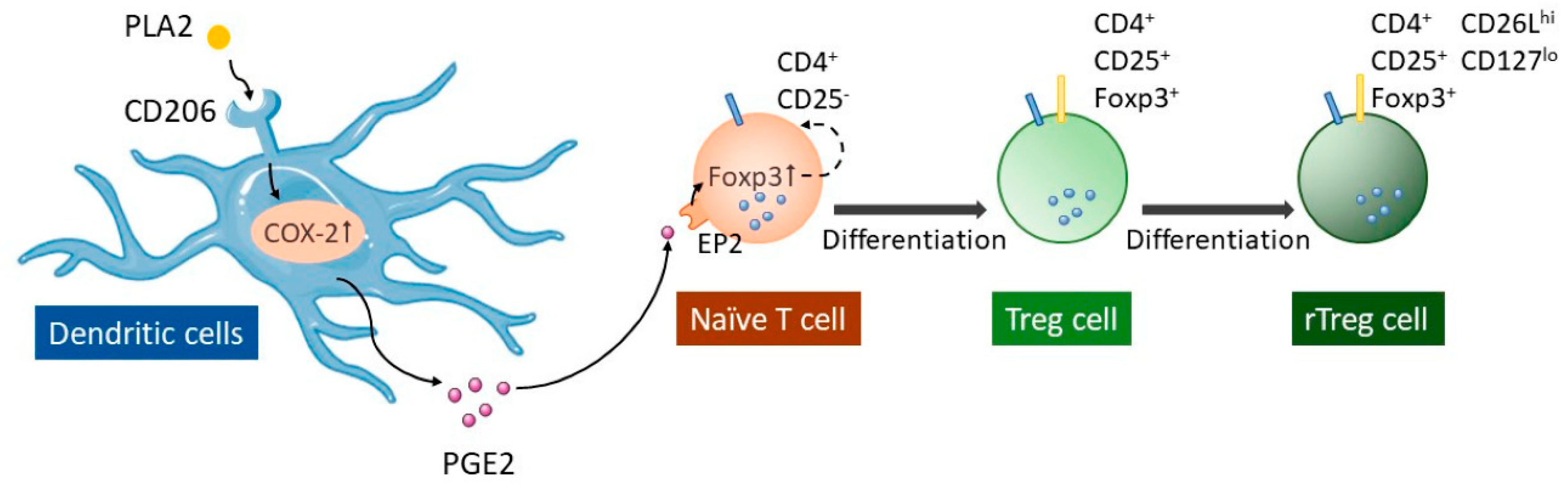 Toxins 12 00618 g002