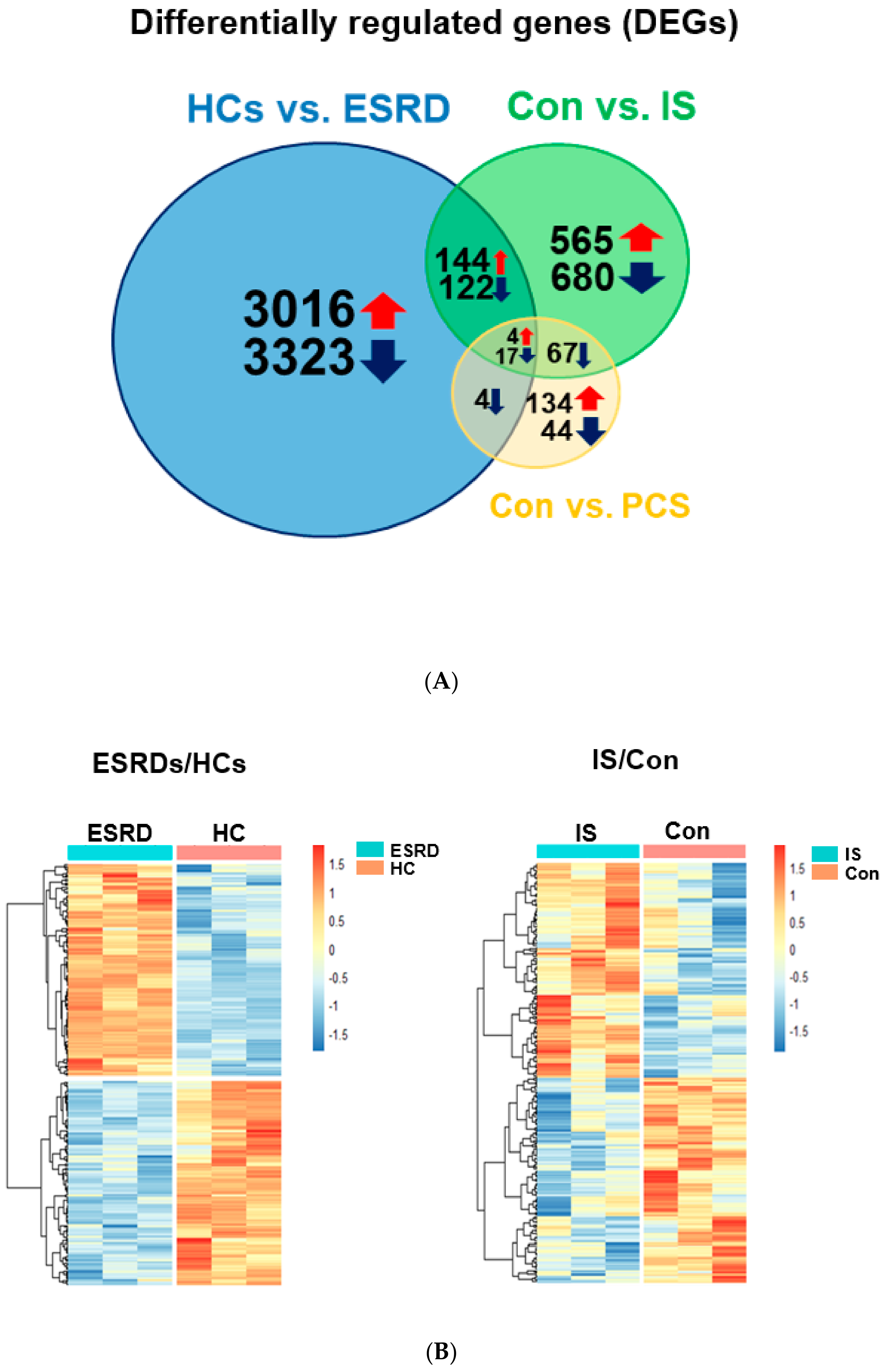 Toxins 12 00621 g002