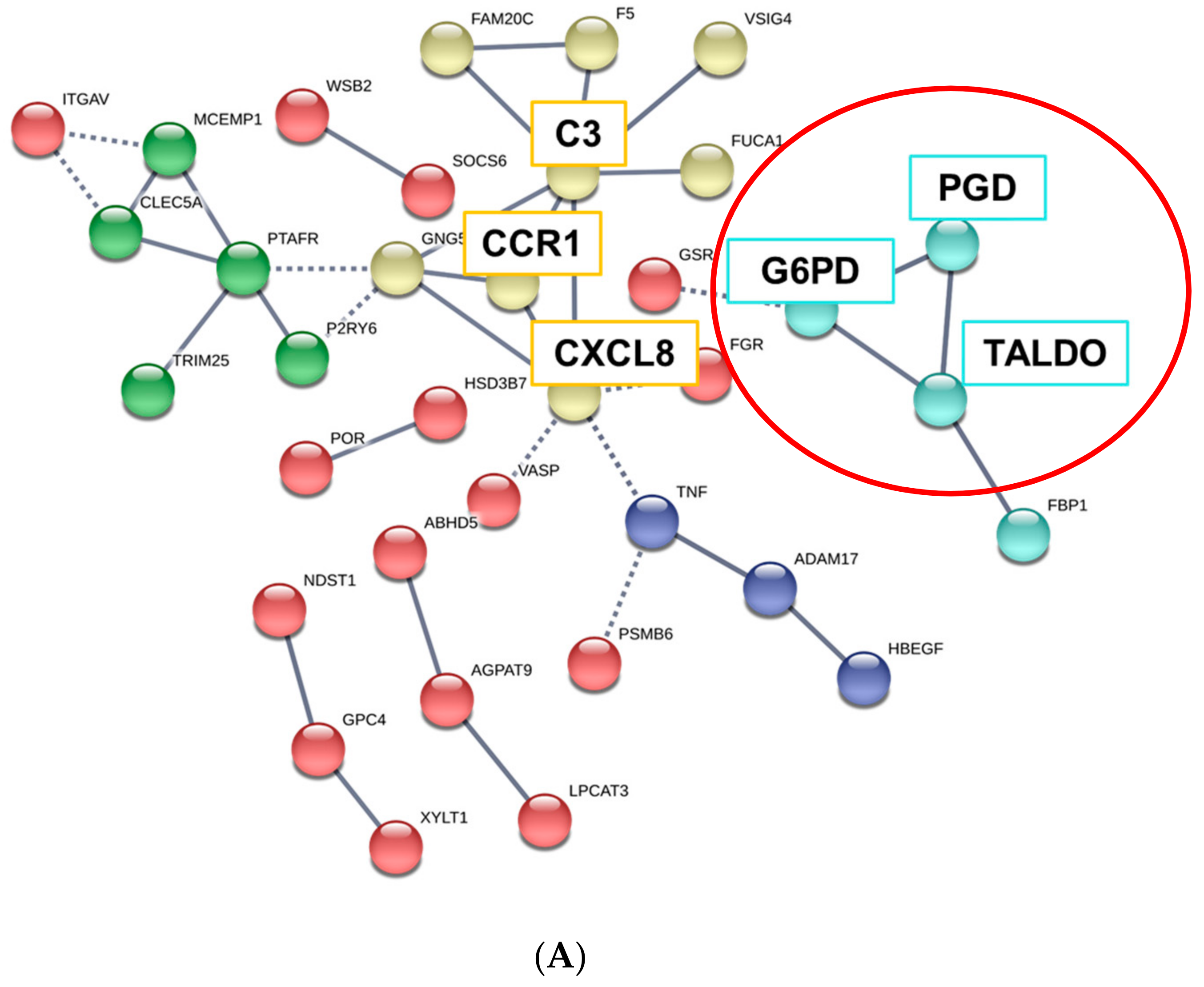 Toxins 12 00621 g004a