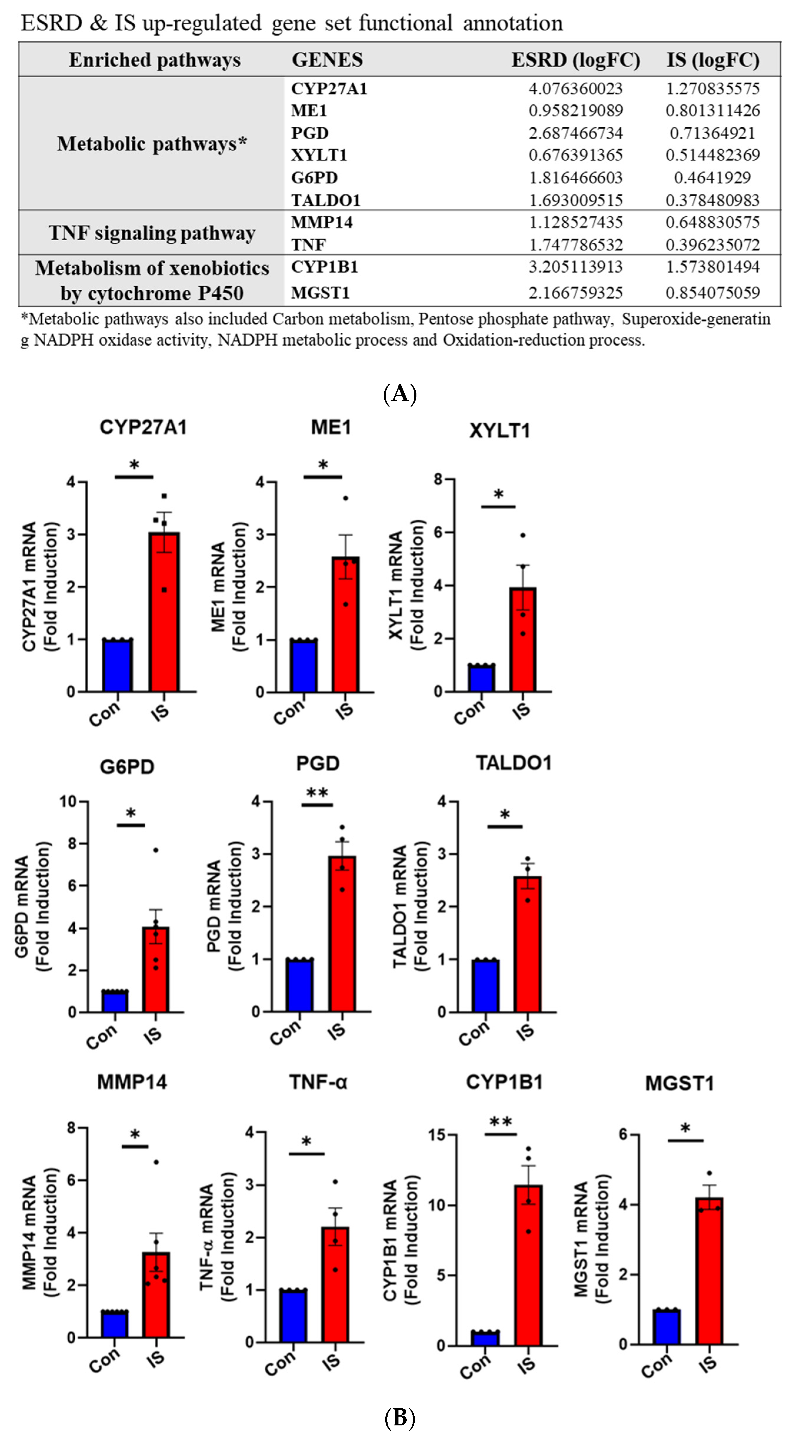 Toxins 12 00621 g005