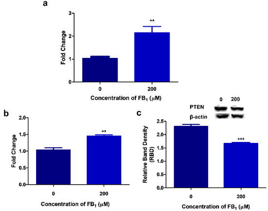 Exosomal MicroRNA signature acts as an efficient biomarker