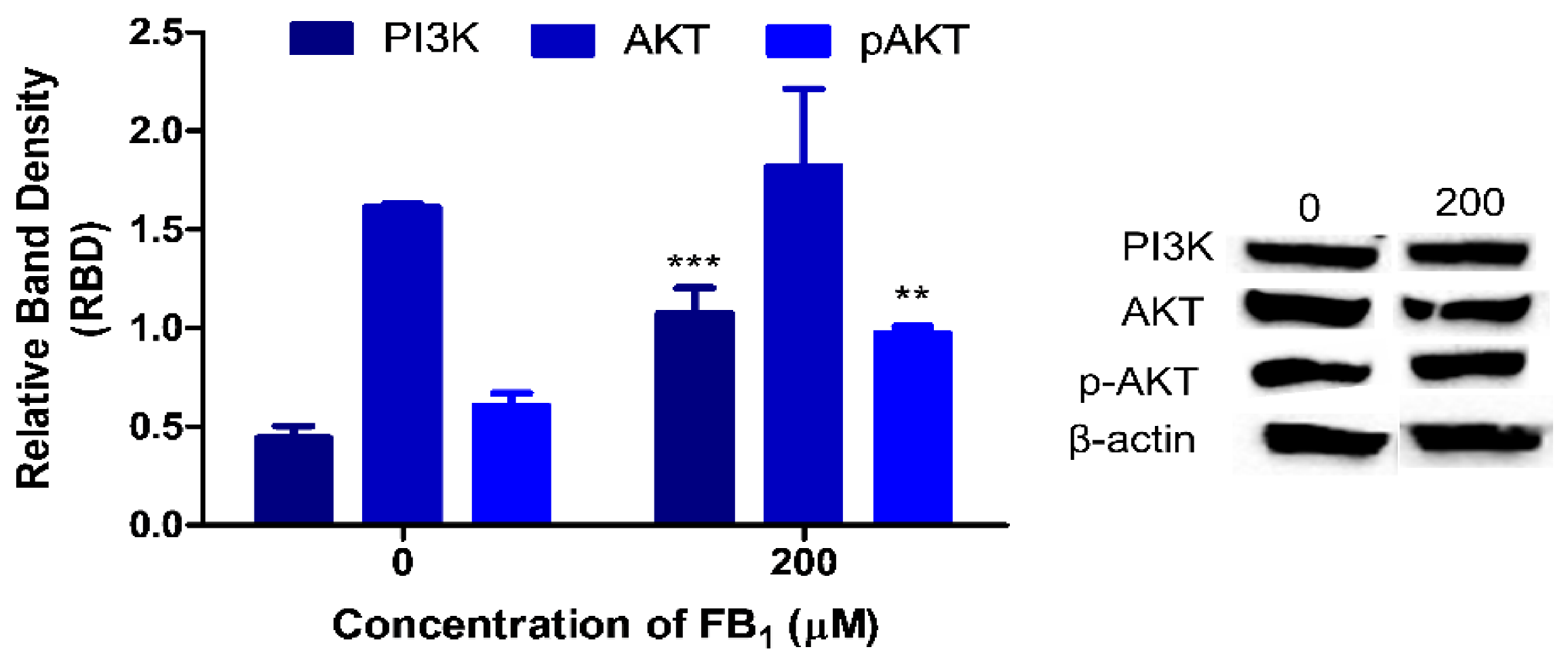 Toxins 12 00625 g005