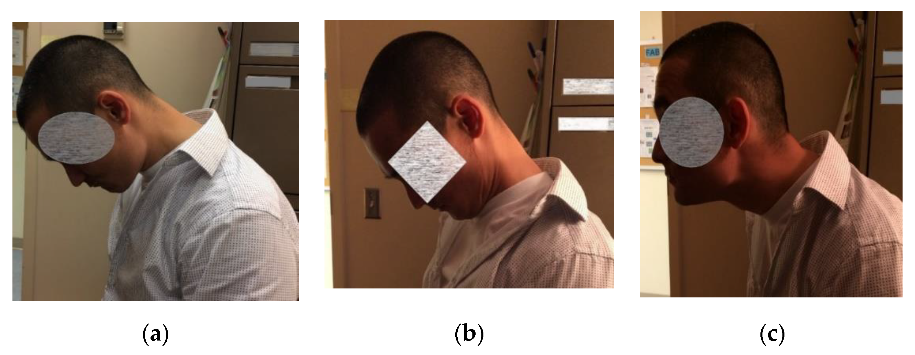 Toxins 12 00626 g001