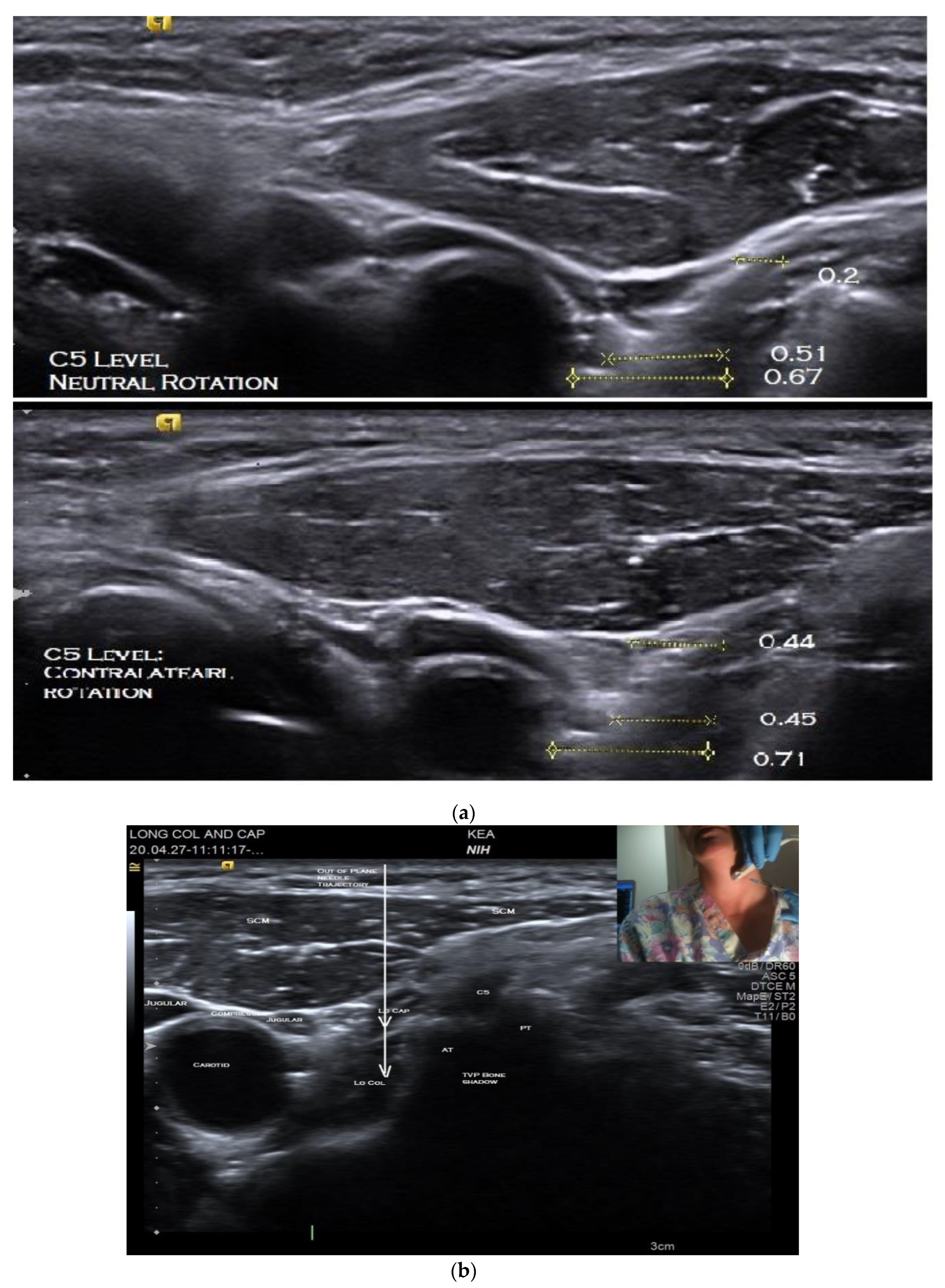 Toxins 12 00626 g002