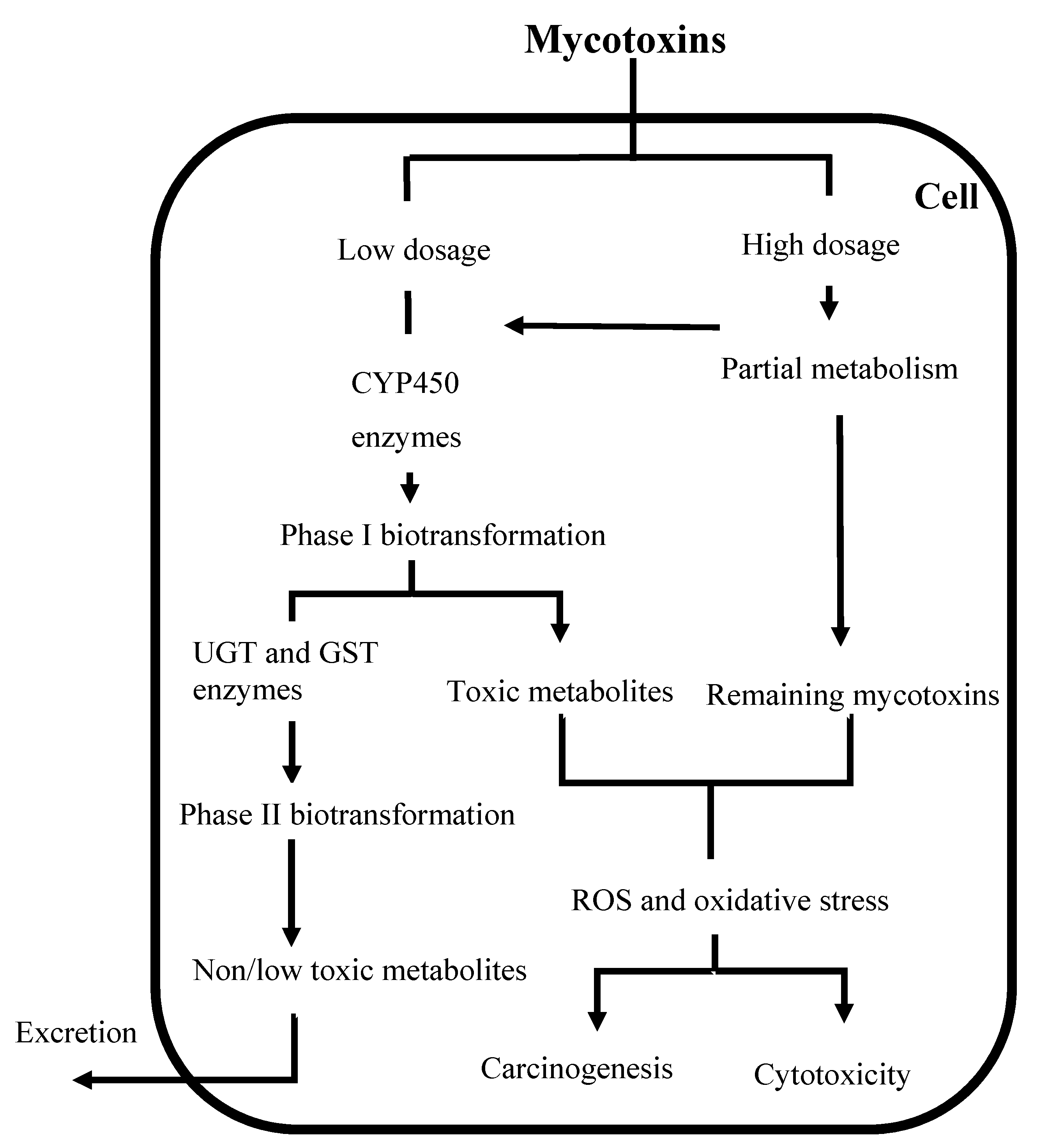 Toxins 12 00628 g001