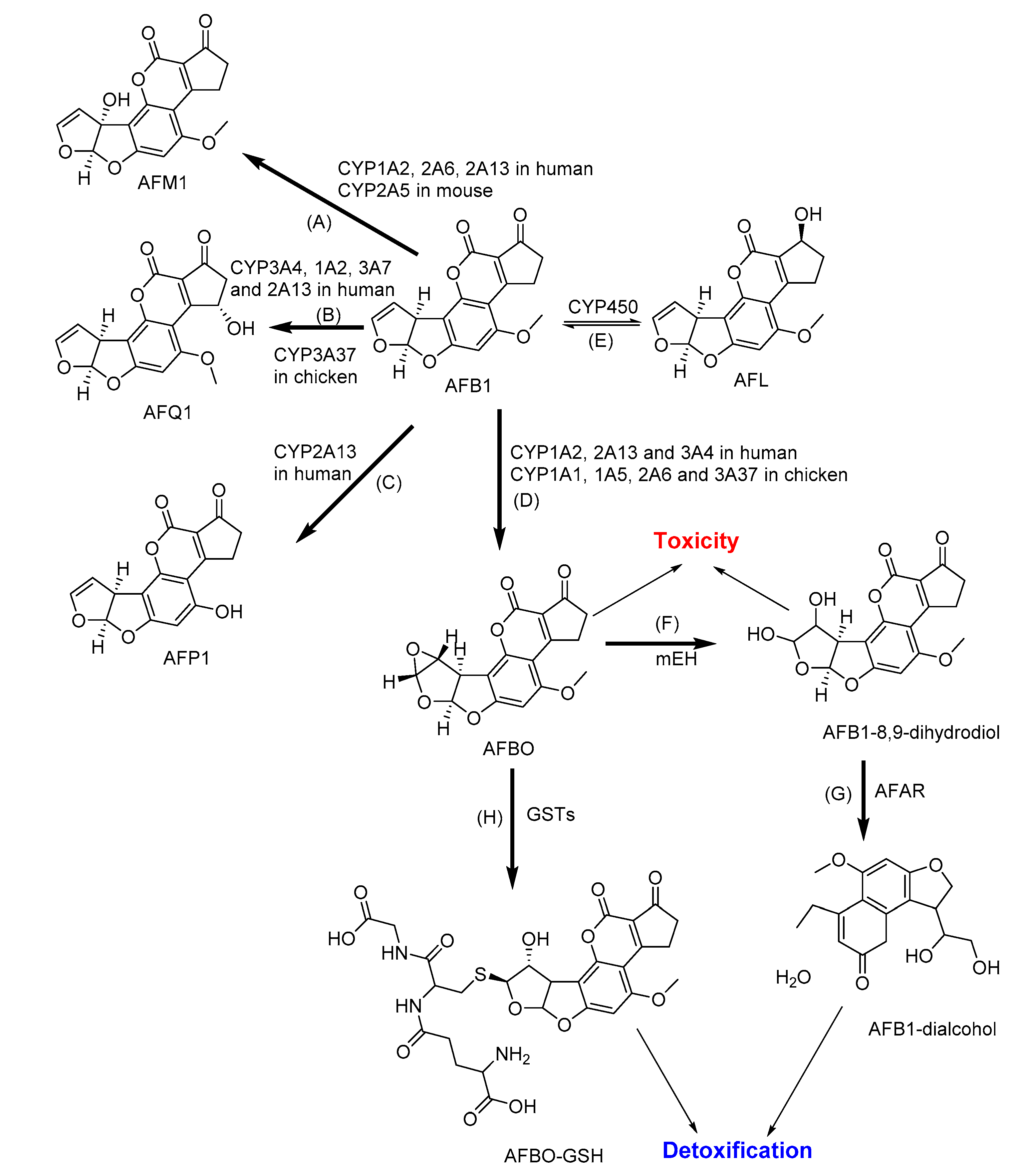 Toxins 12 00628 g002