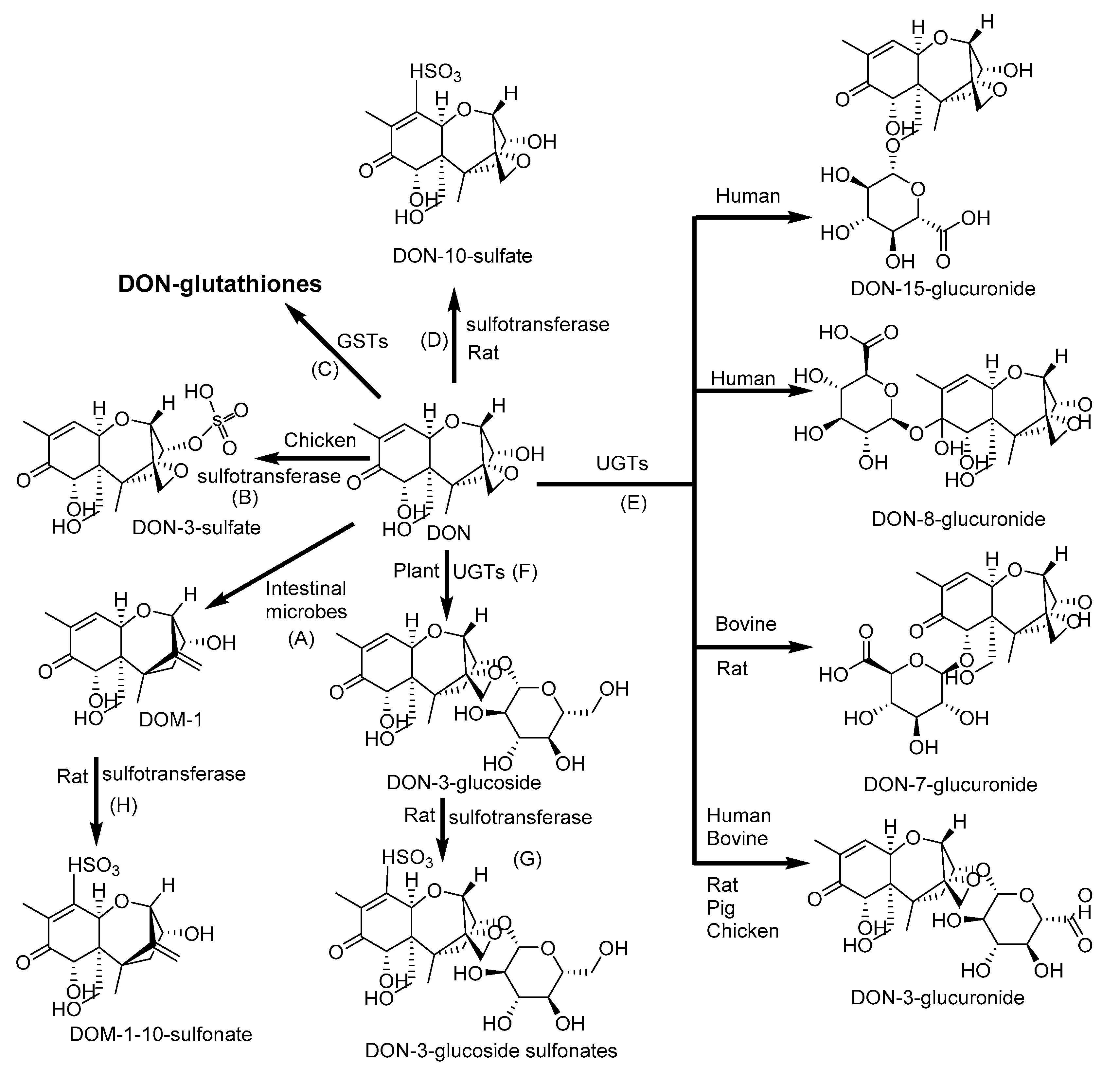 Toxins 12 00628 g004