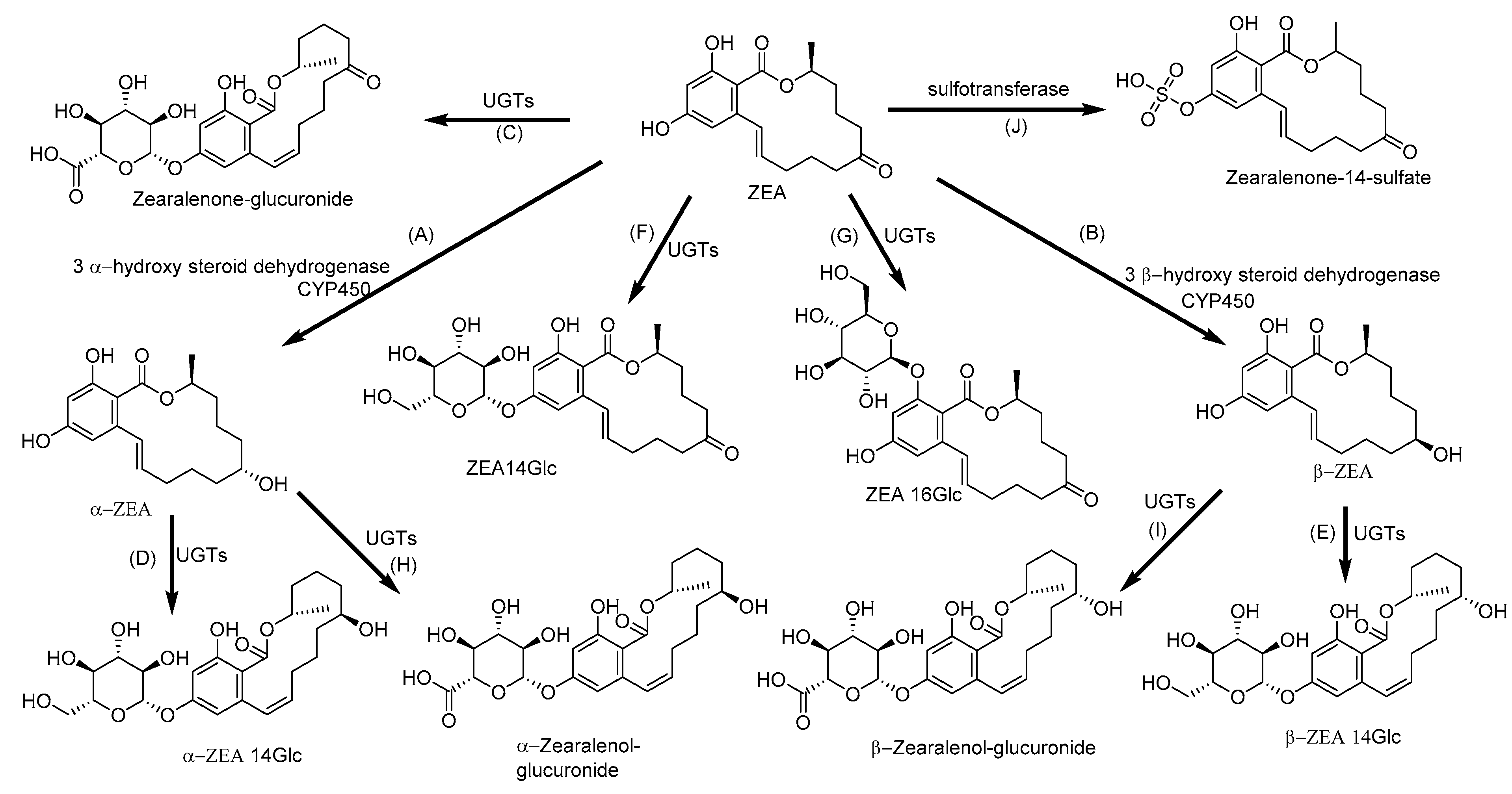 Toxins 12 00628 g007