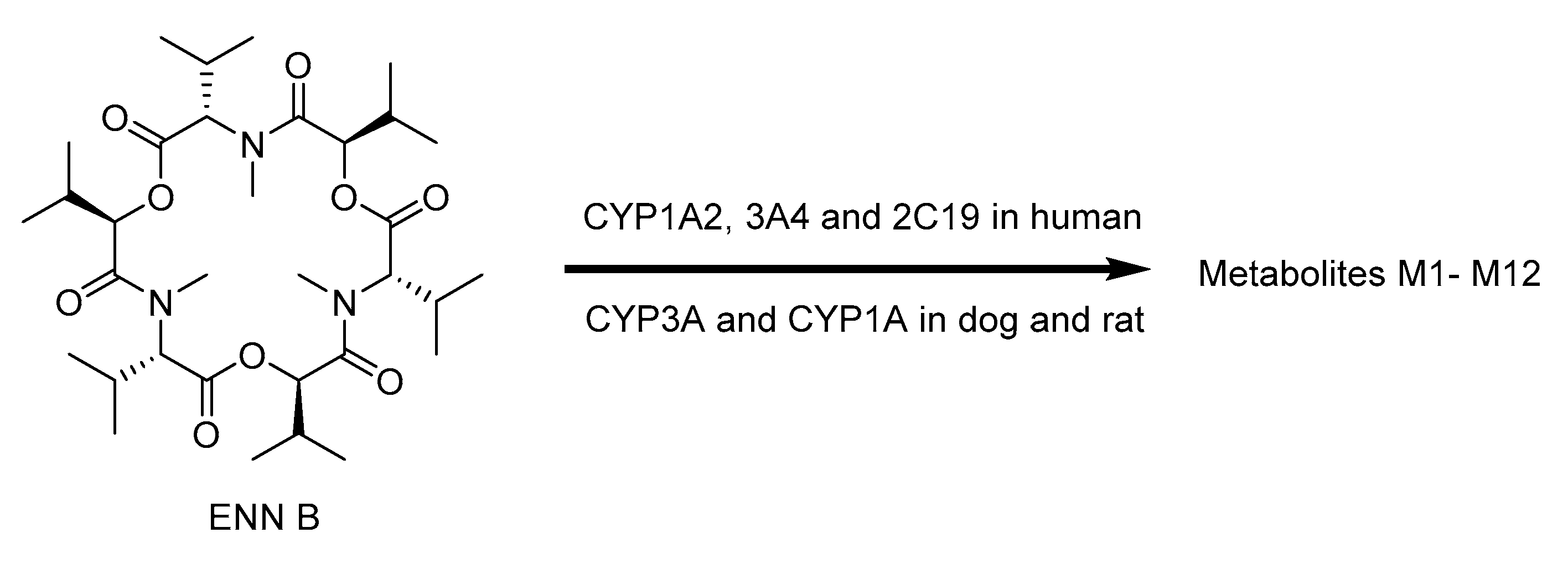 Toxins 12 00628 g009