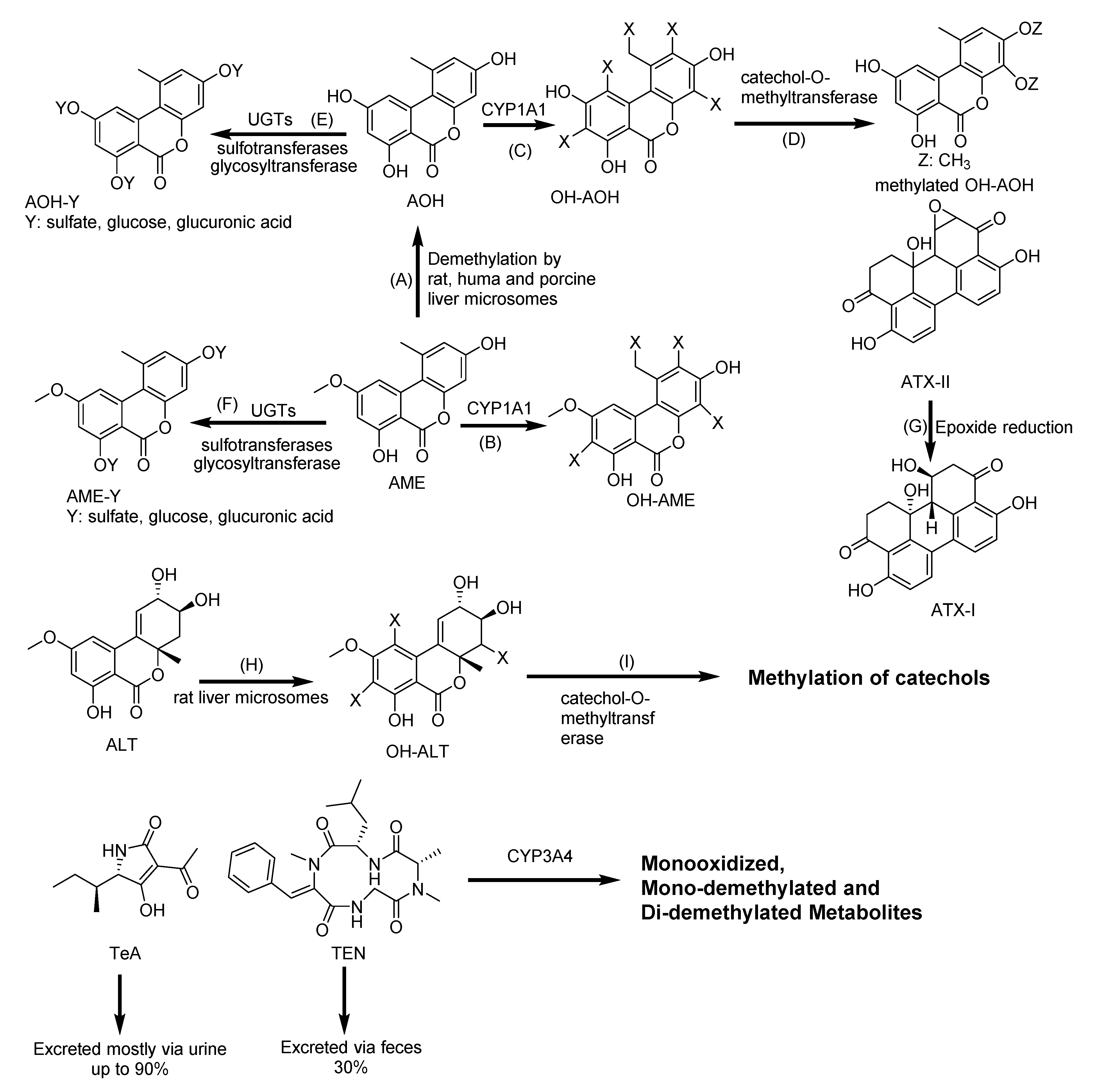 Toxins 12 00628 g011