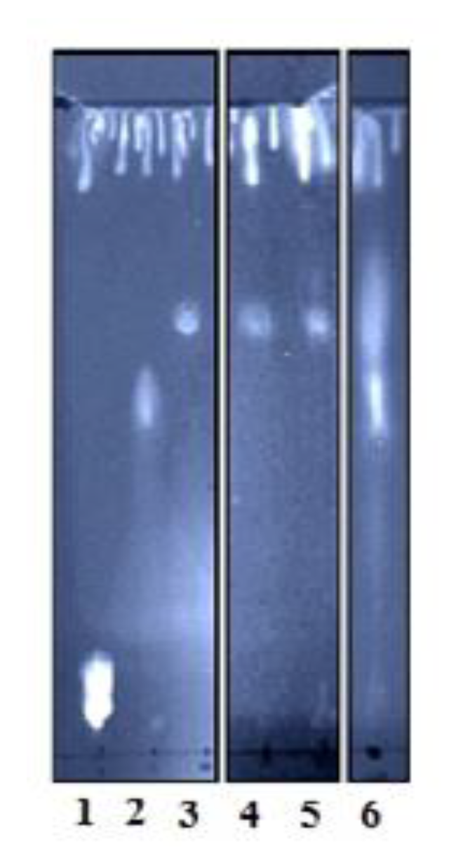 Toxins 12 00631 g004