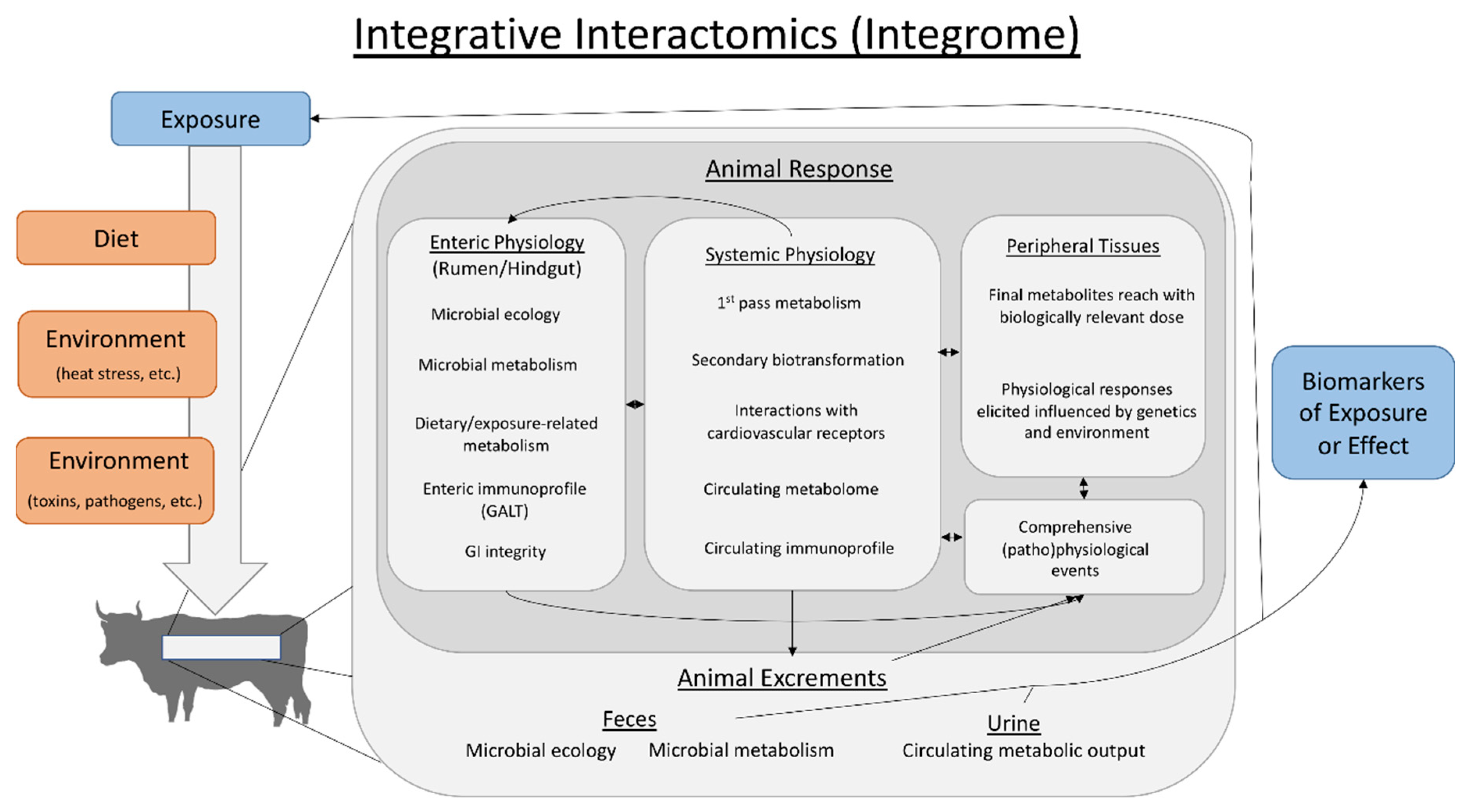 Toxins | Free Full-Text | Use of Integrative Interactomics for Improvement of Farm Animal Health and Welfare: An Example with Fescue Toxicosis Toxins | Free Full-Text | Use of Integrative Interactomics for Improvement of Farm Animal Health and Welfare: An Example with Fescue Toxicosis
