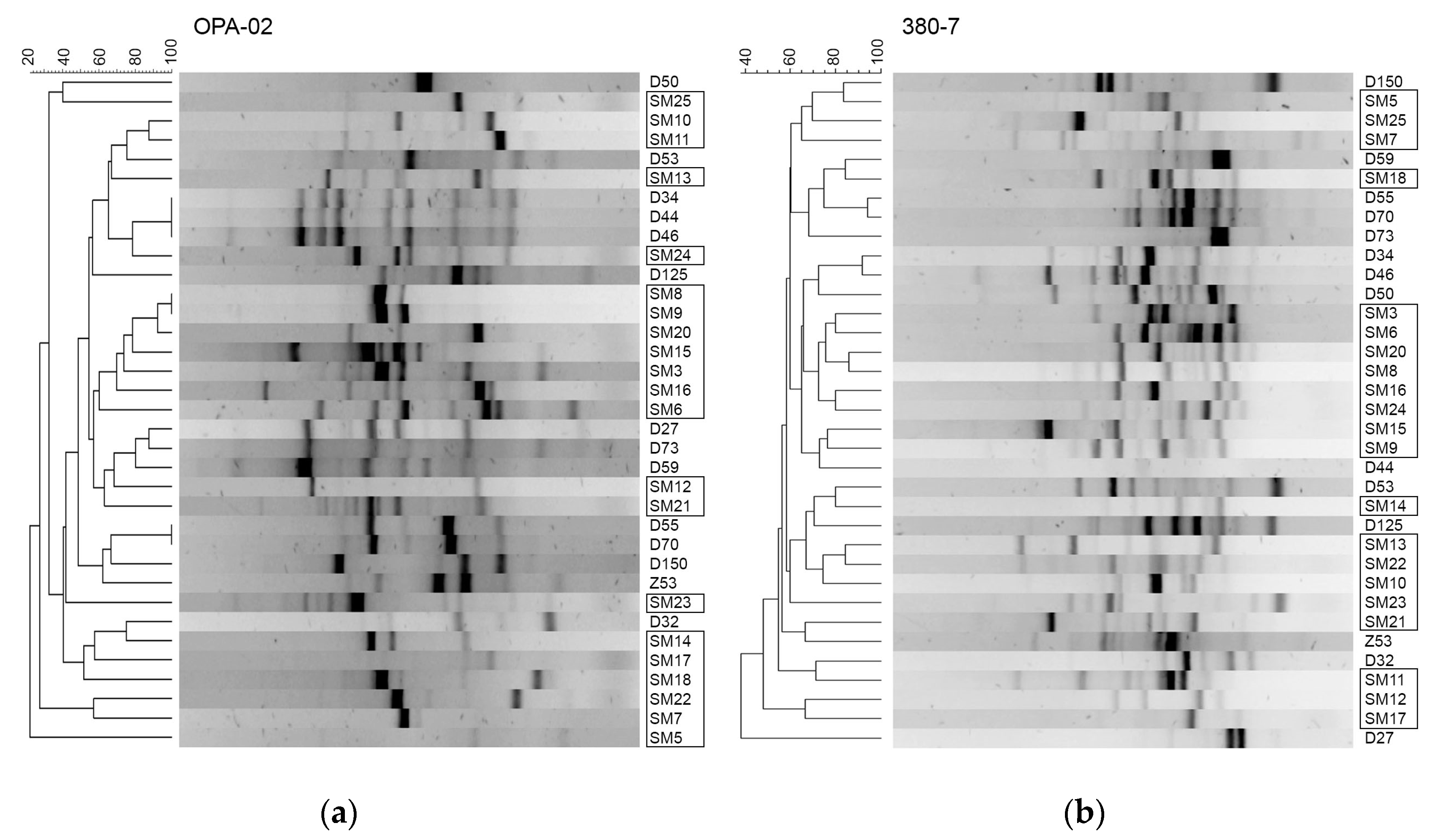 Toxins 12 00635 g005 Toxins 12 00635 g005