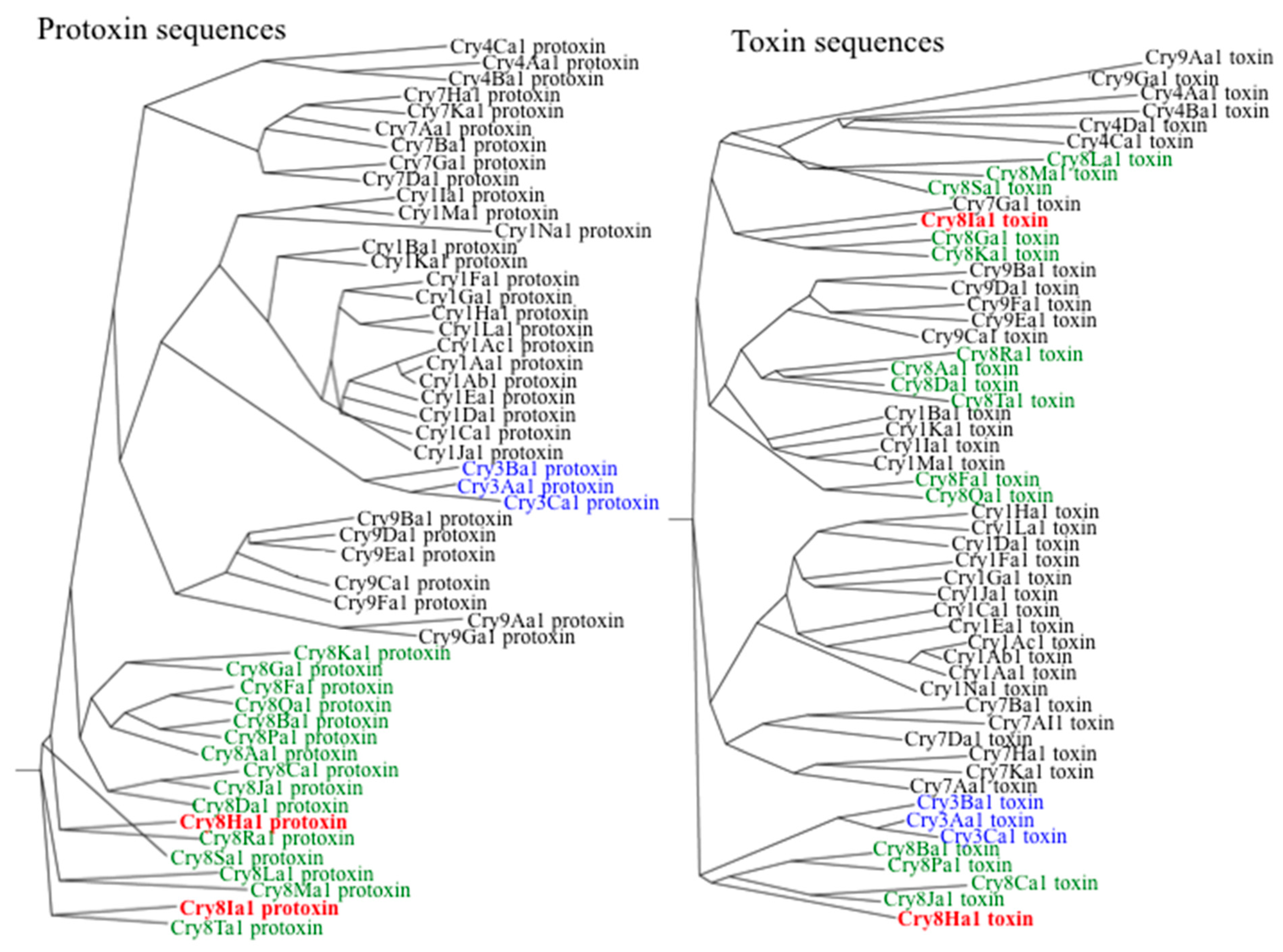 Toxins 12 00642 g001 Toxins 12 00642 g001