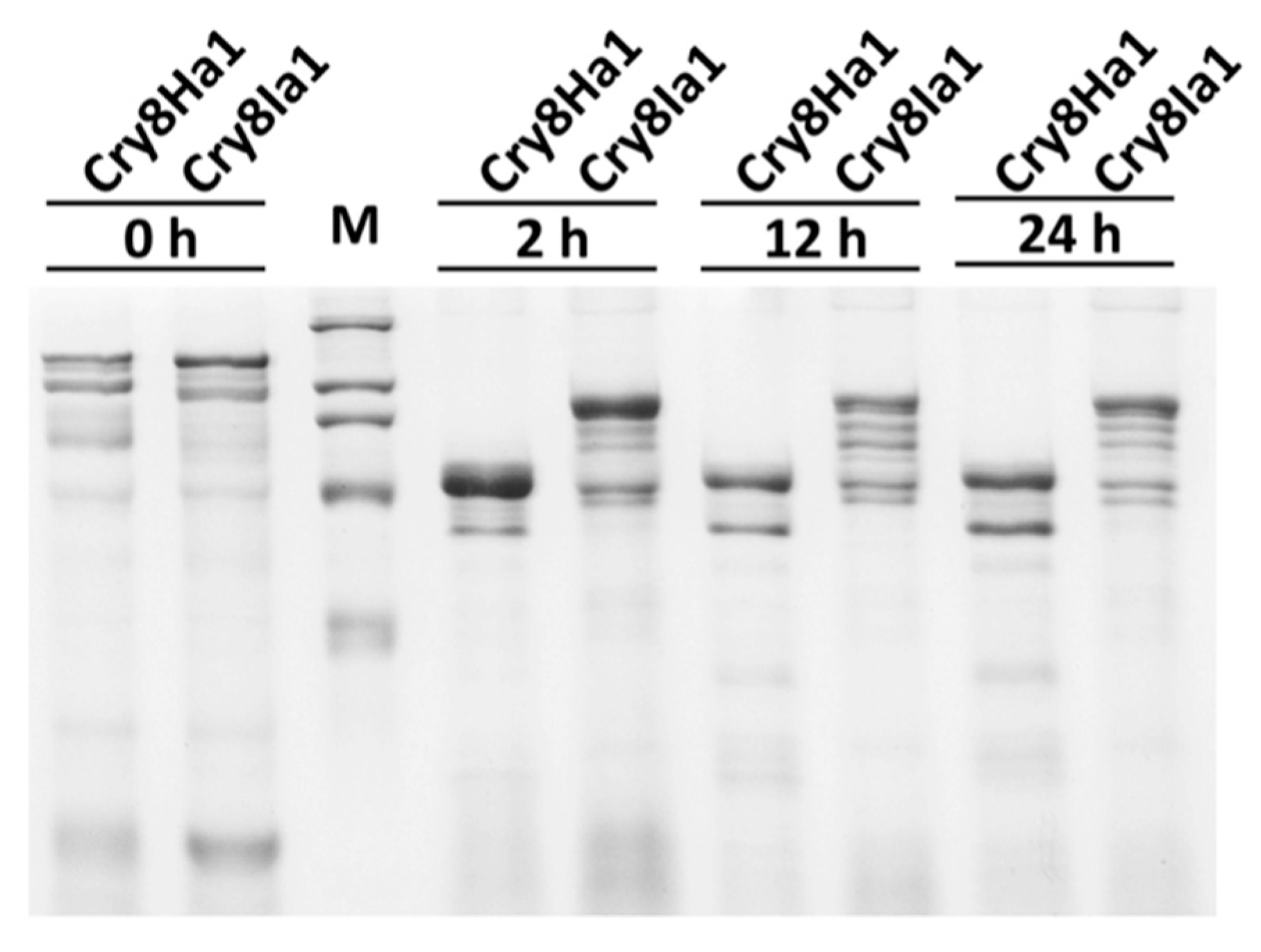 Toxins 12 00642 g003 Toxins 12 00642 g003