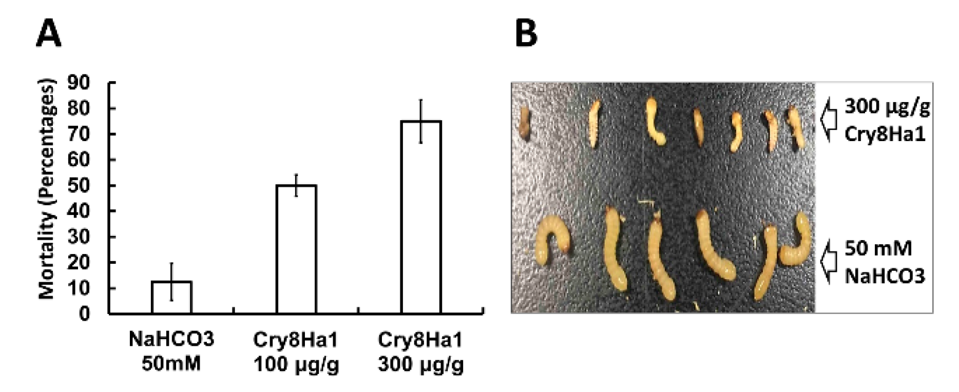 Toxins 12 00642 g004 Toxins 12 00642 g004