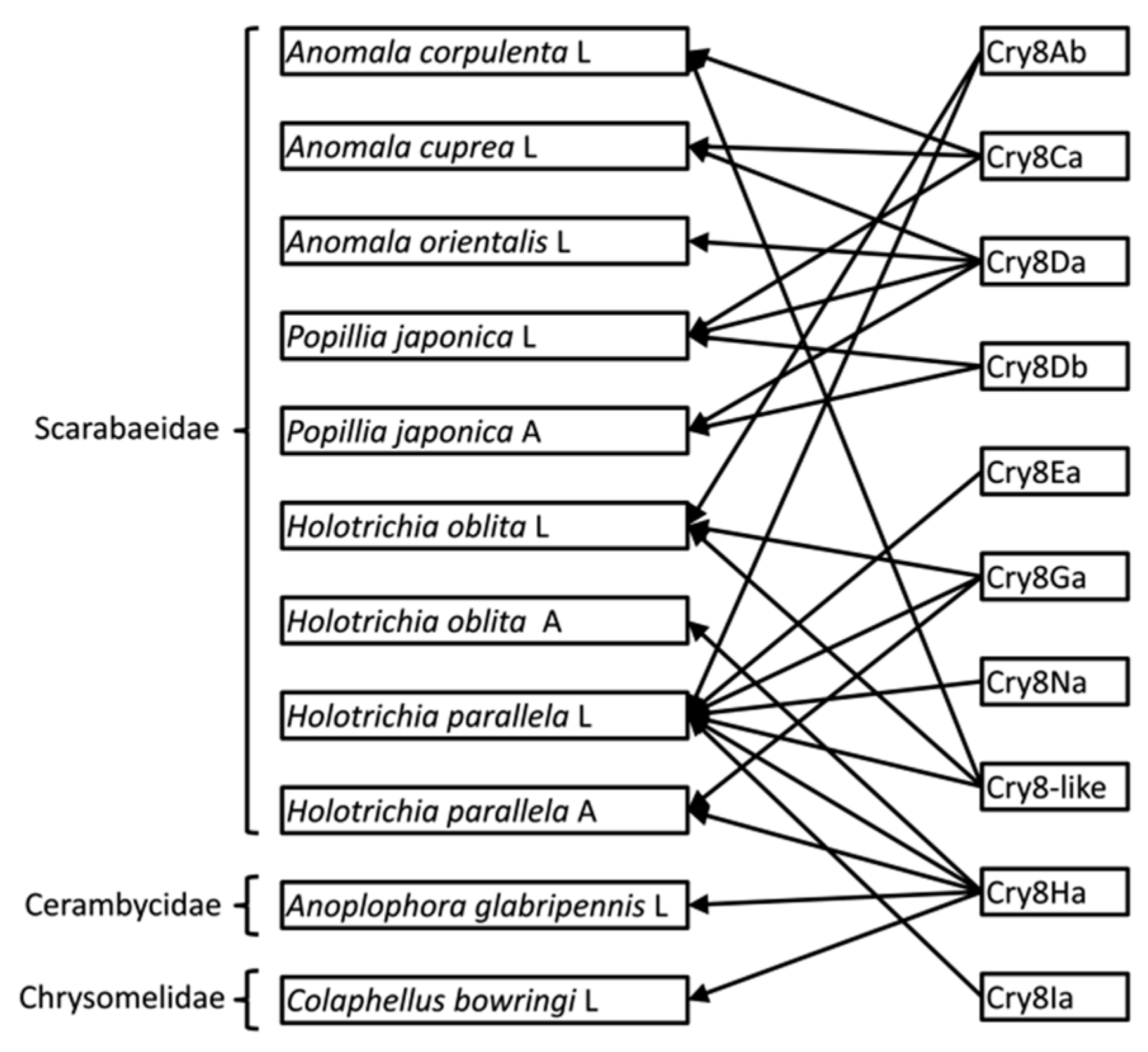Toxins 12 00642 g005 Toxins 12 00642 g005