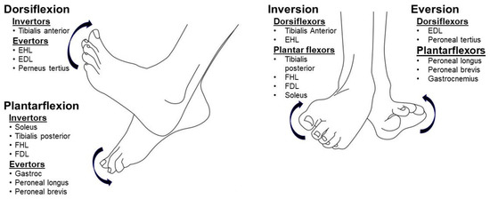 Toxins 12 00646 g001 550