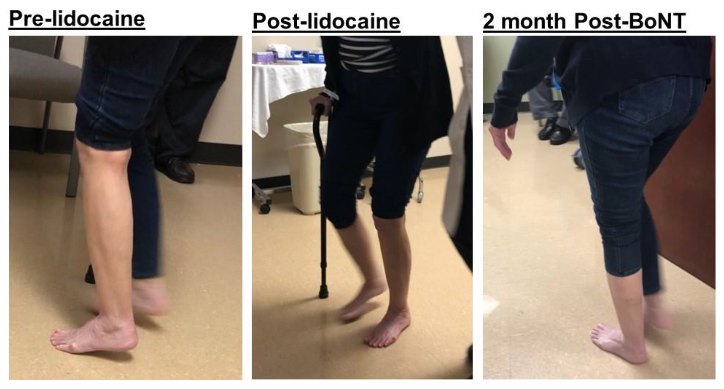 Toxins 12 00646 g007 Toxins 12 00646 g007