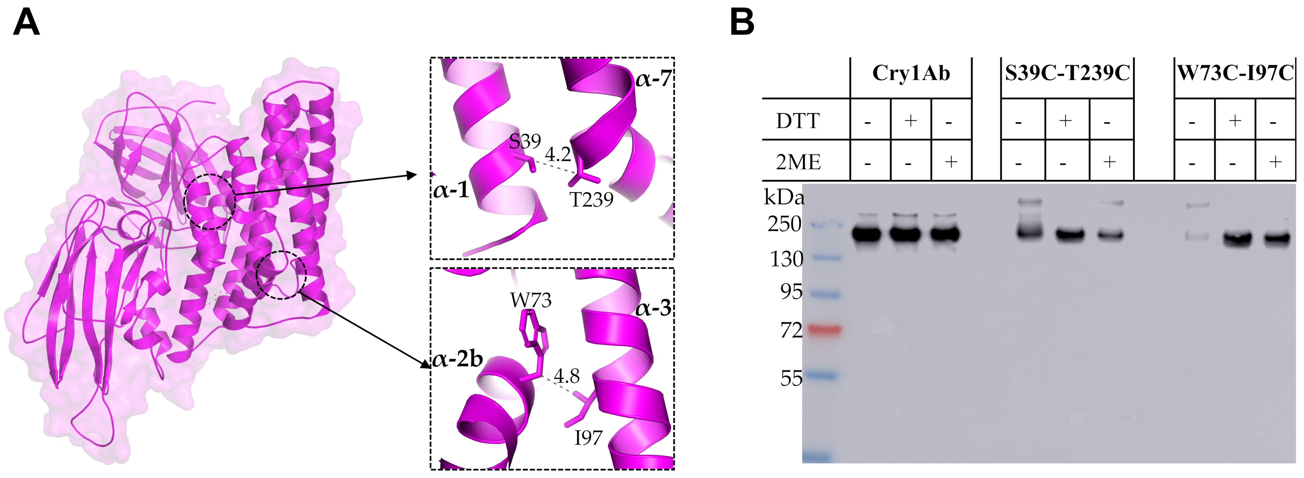 Toxins 12 00647 g003