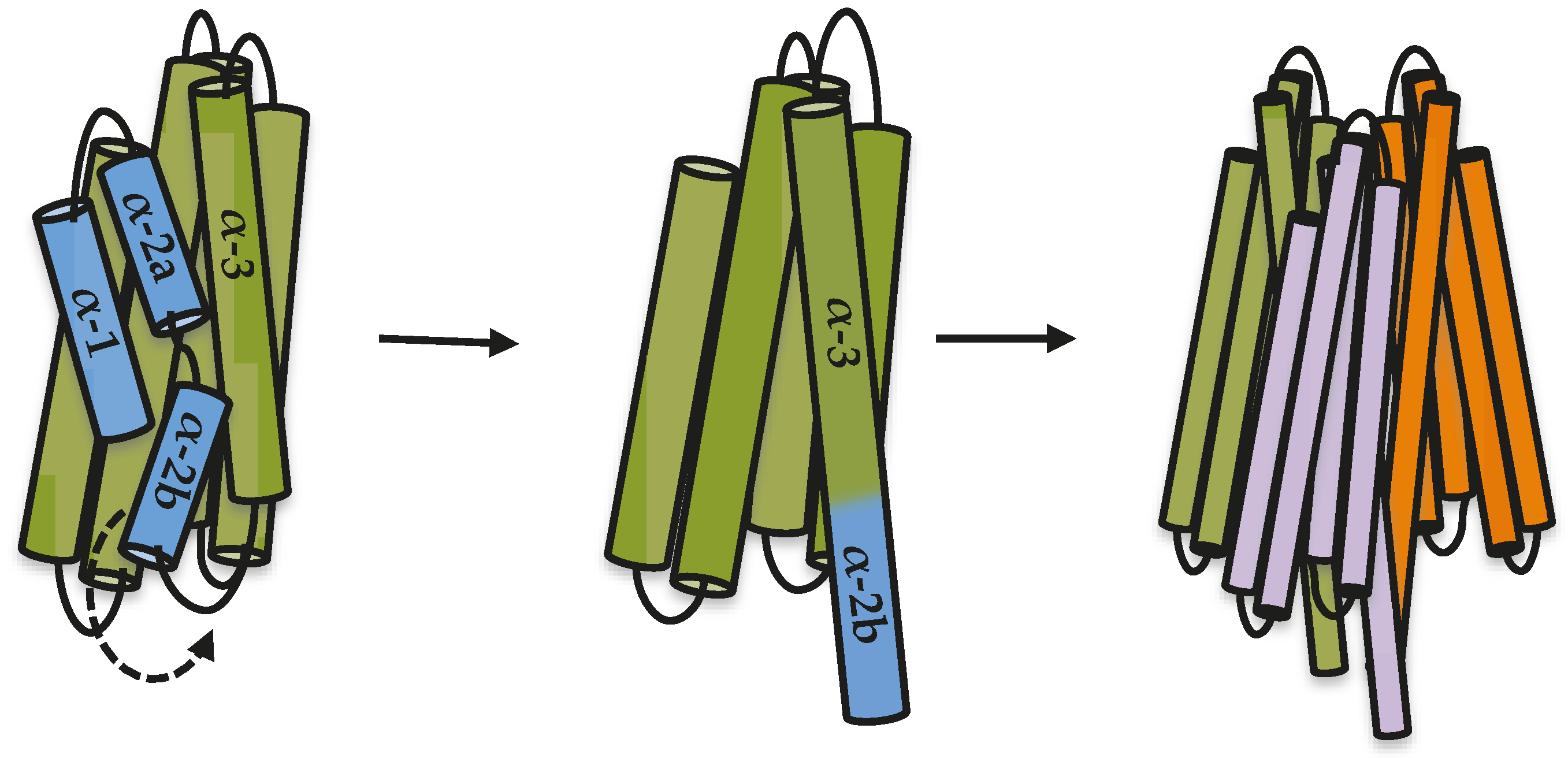 Toxins 12 00647 g004