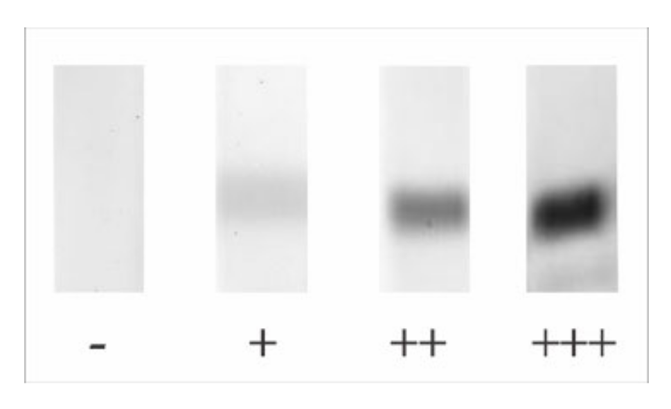 Toxins 12 00649 g003