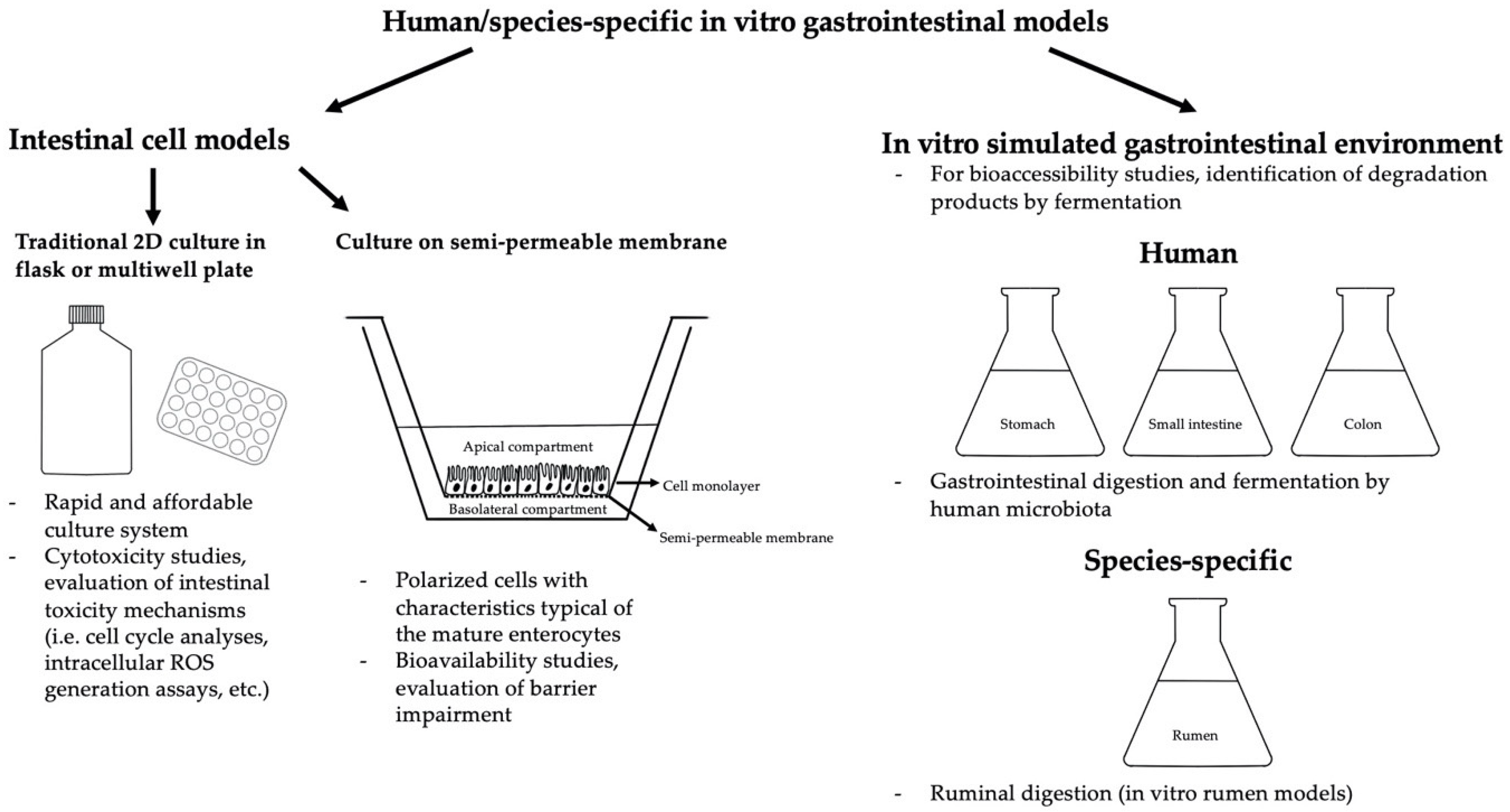 Toxins 12 00686 g001