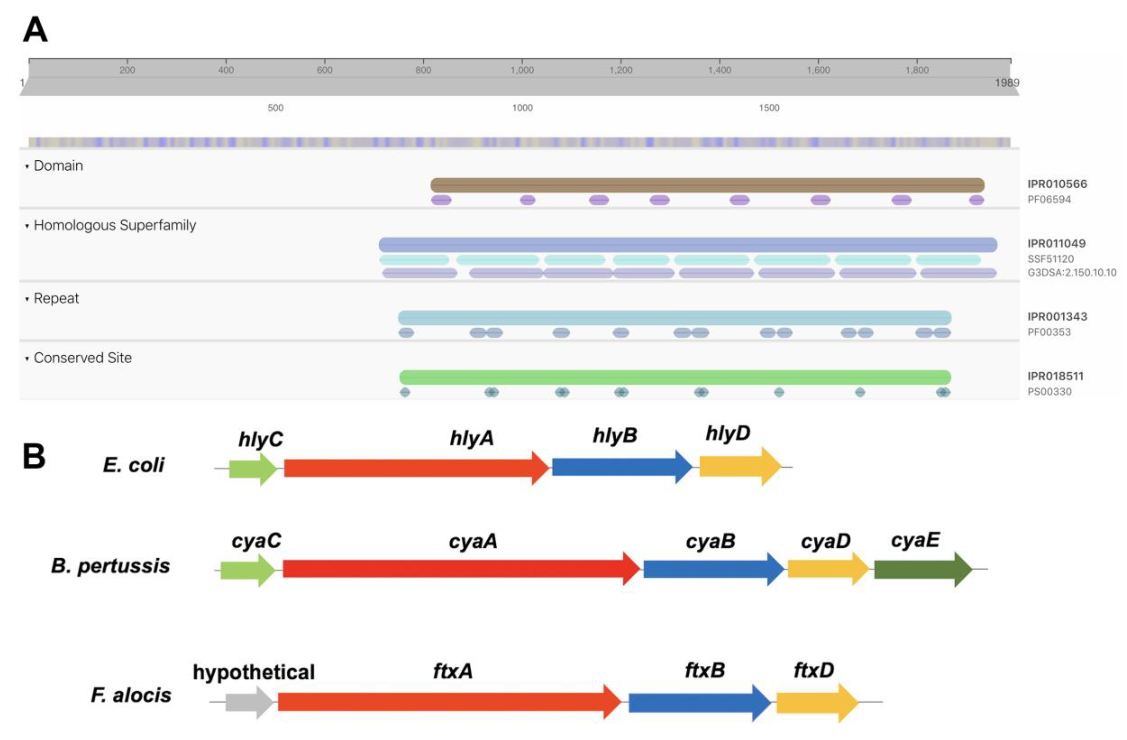 Toxins 12 00687 g001 Toxins 12 00687 g001
