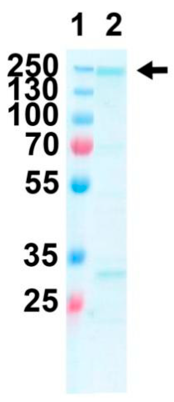 Toxins 12 00687 g003 Toxins 12 00687 g003
